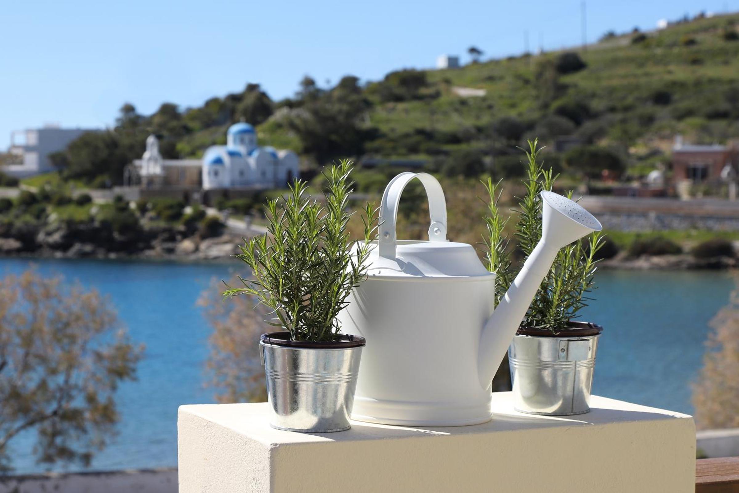 Syra Bay