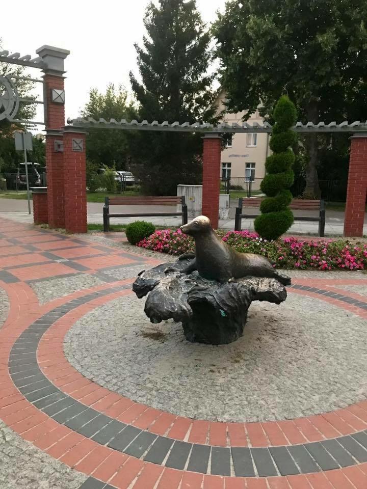 Photo 45
