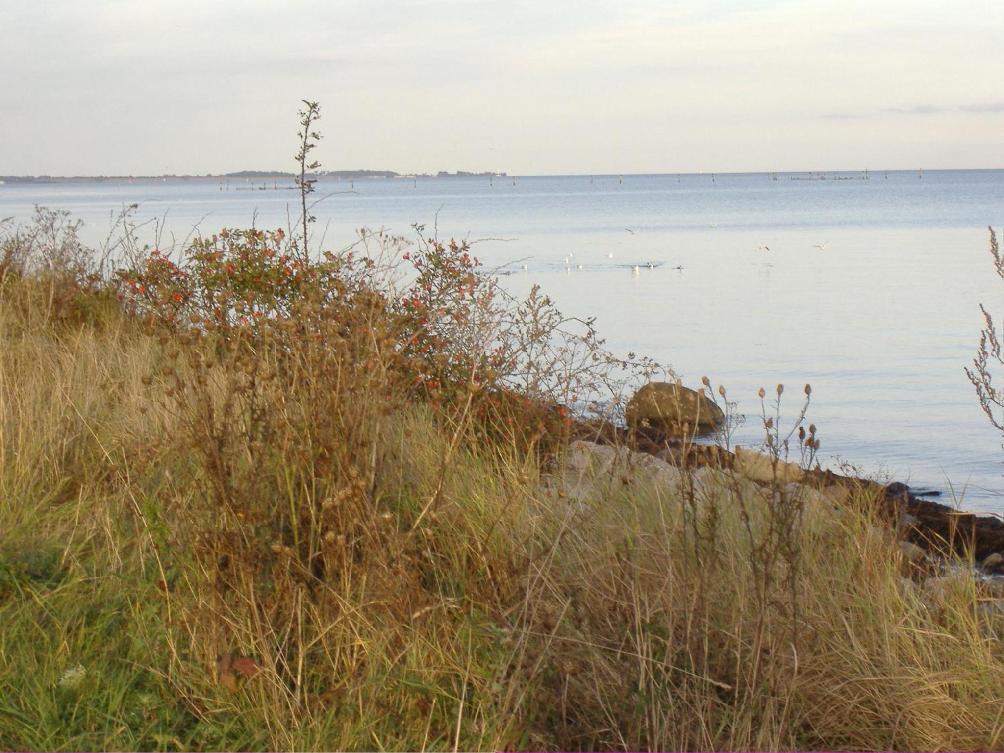 OstseeStrandHuus, einzigartige Seelage