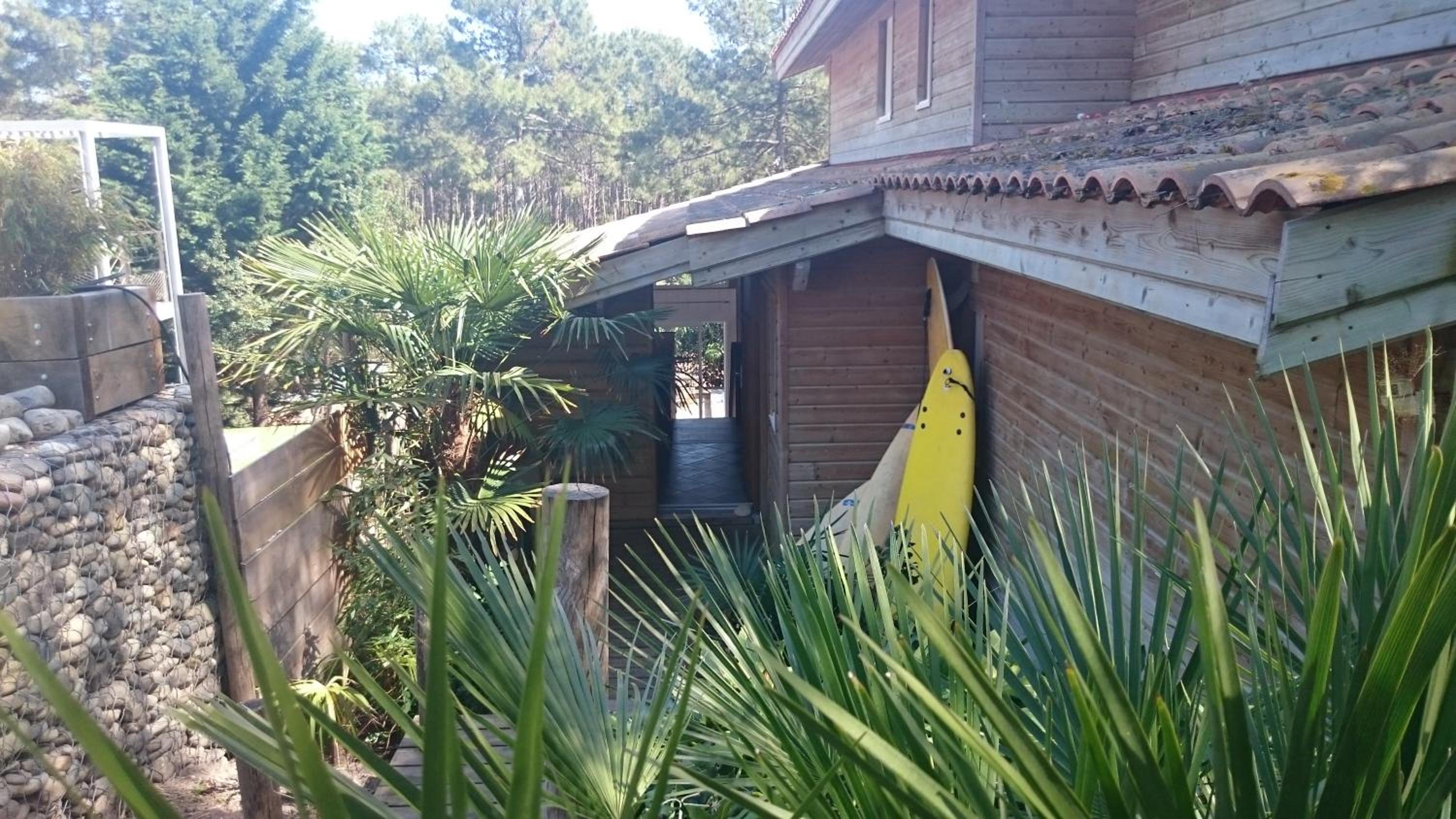 A Summer Morning view 2