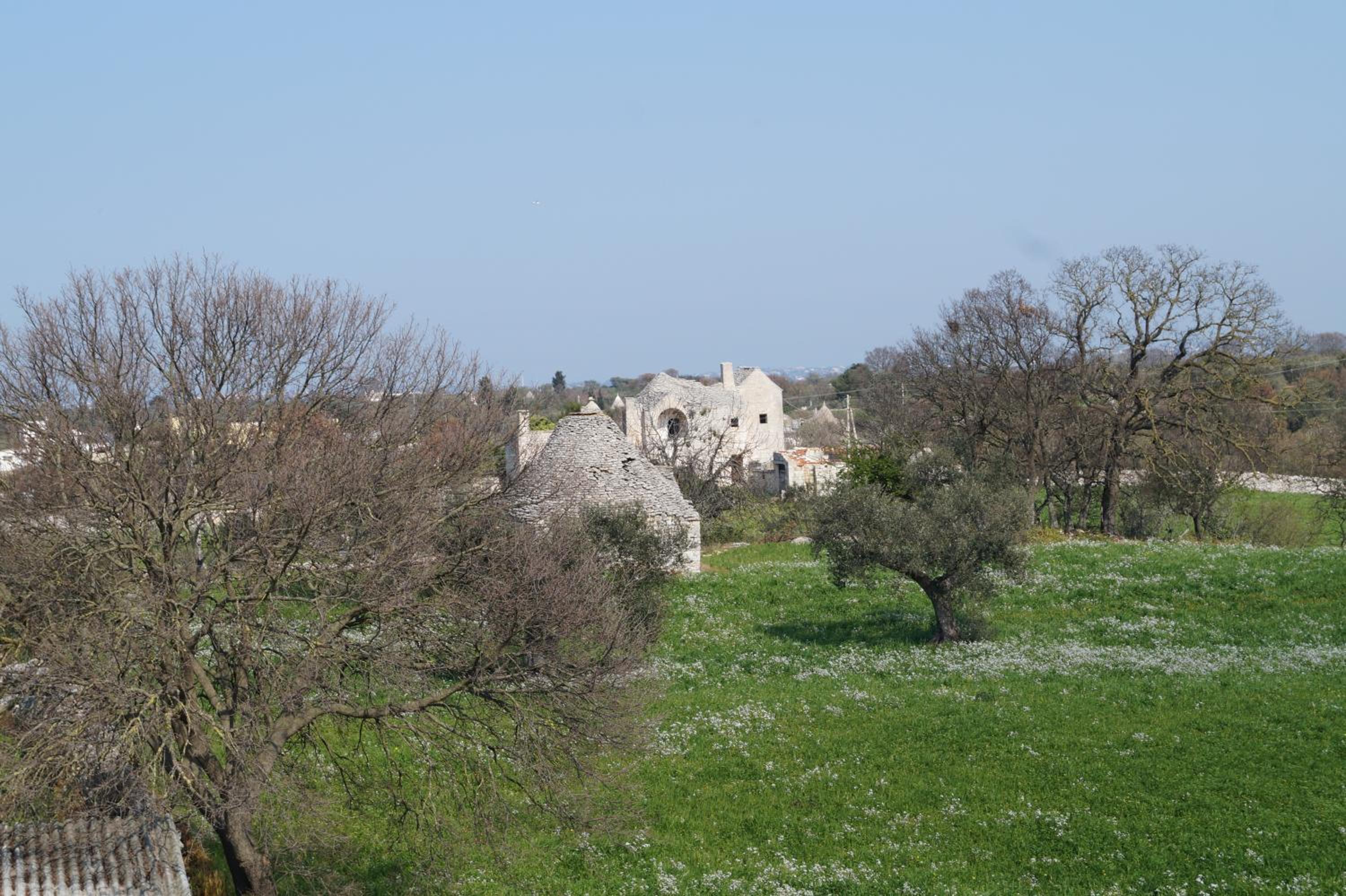Photo 48