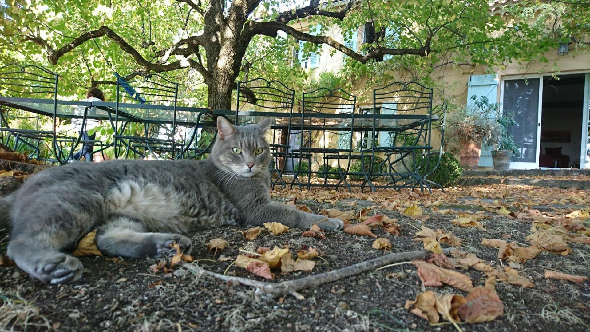 Photo 45