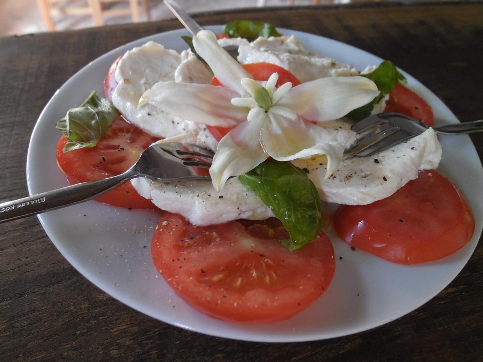 SRDEČNÁ - rodinný penzion a restaurace
