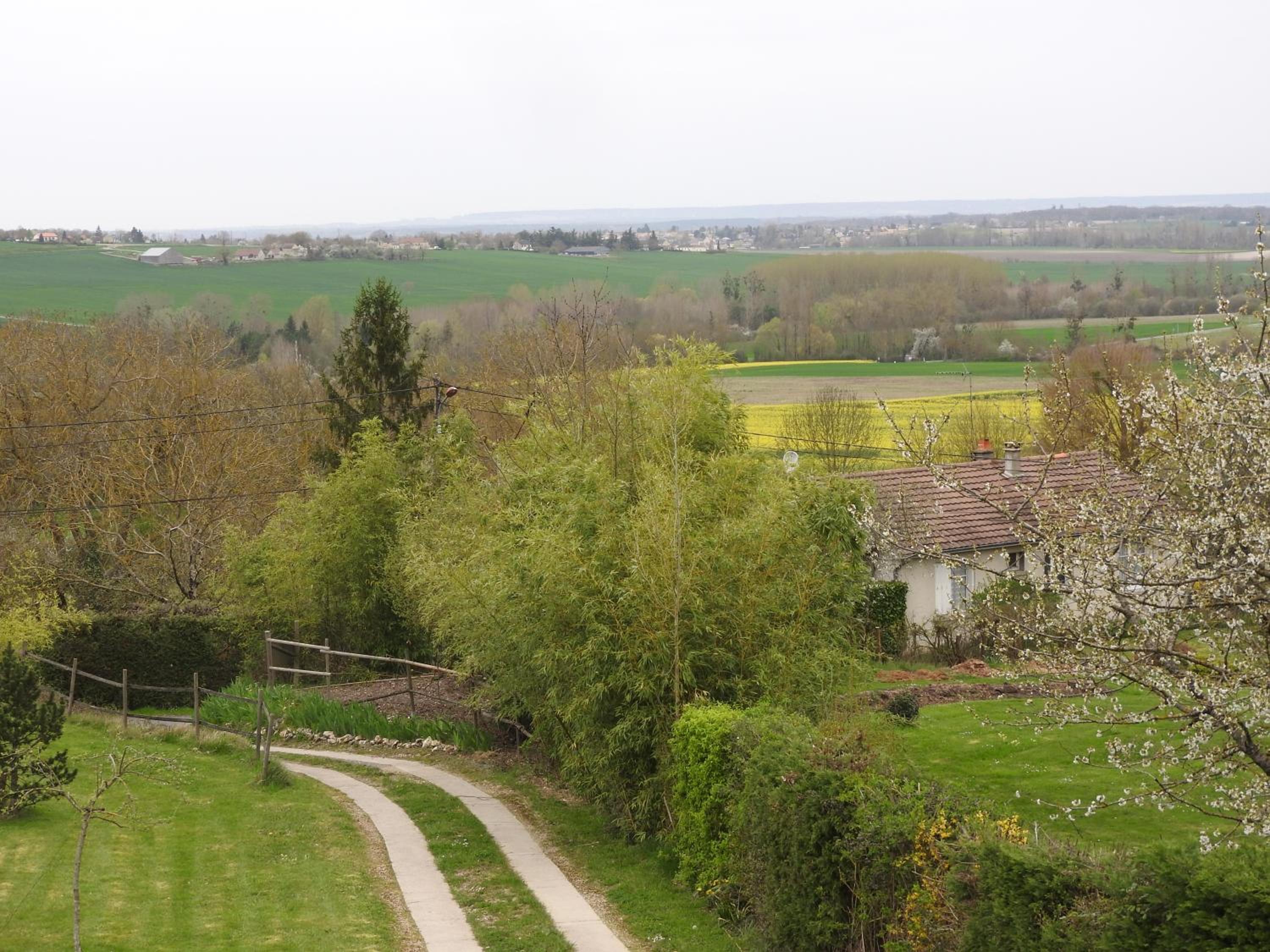 Photo 44