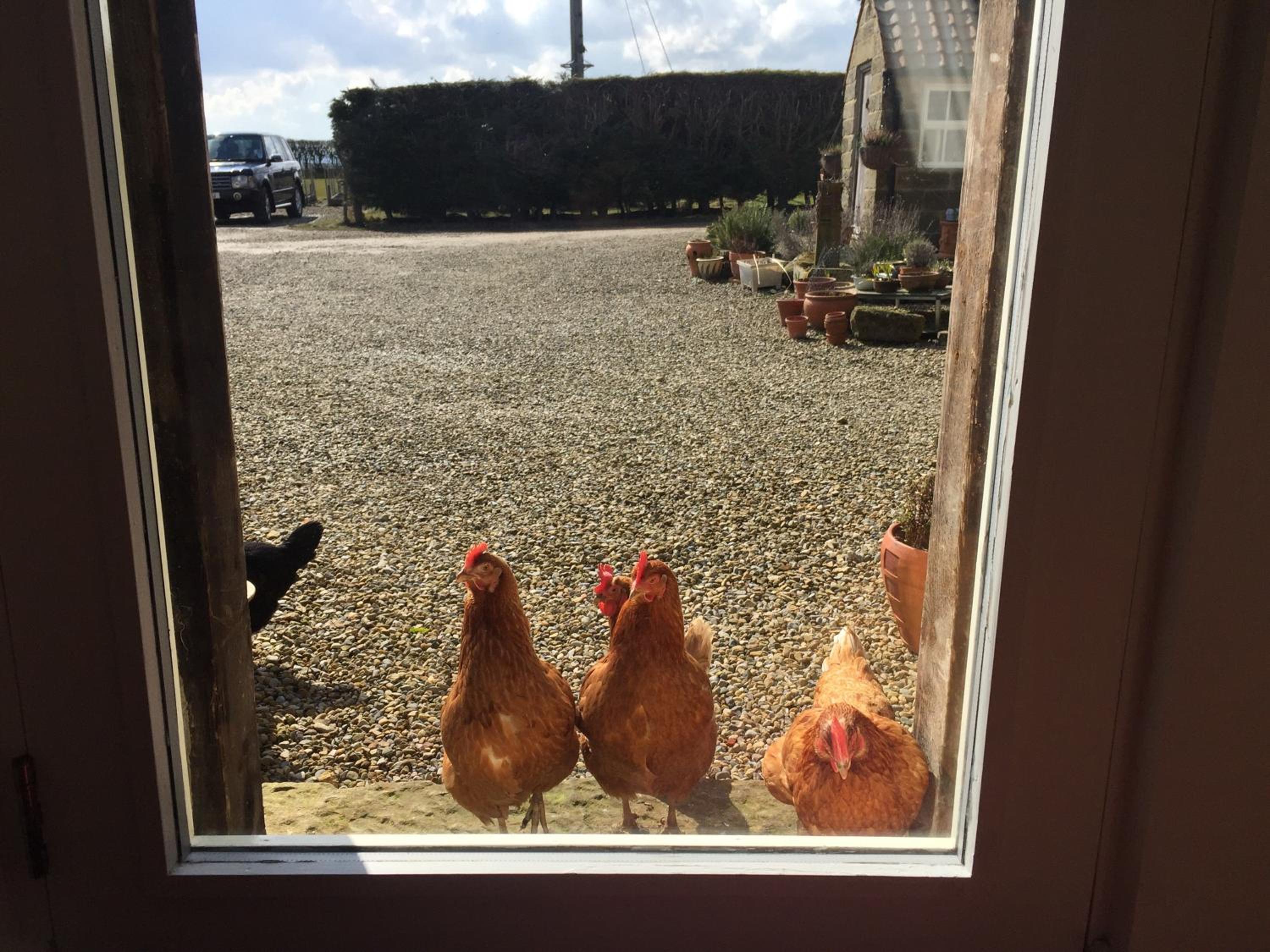 Folly Hall Farm
