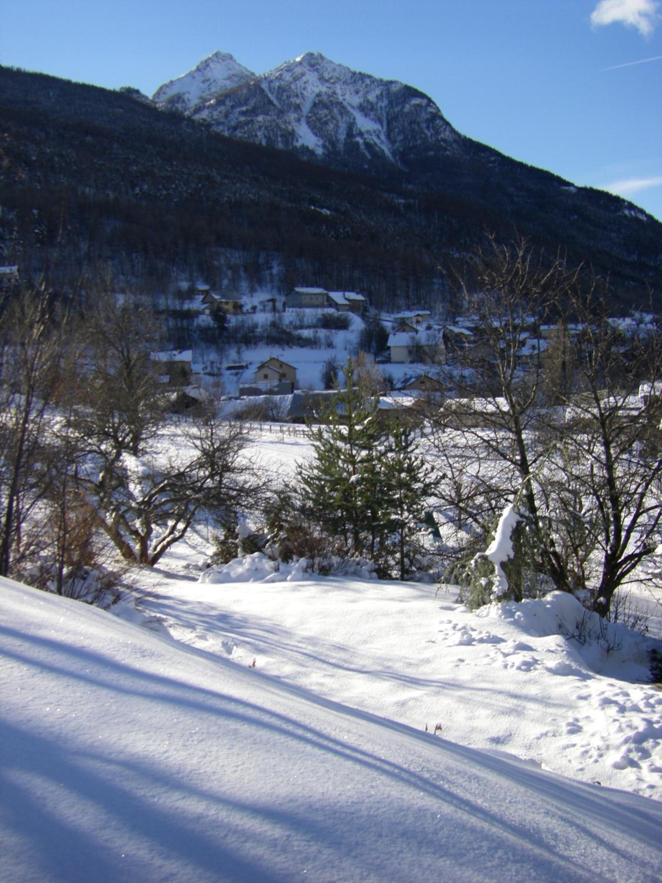 Photo 6