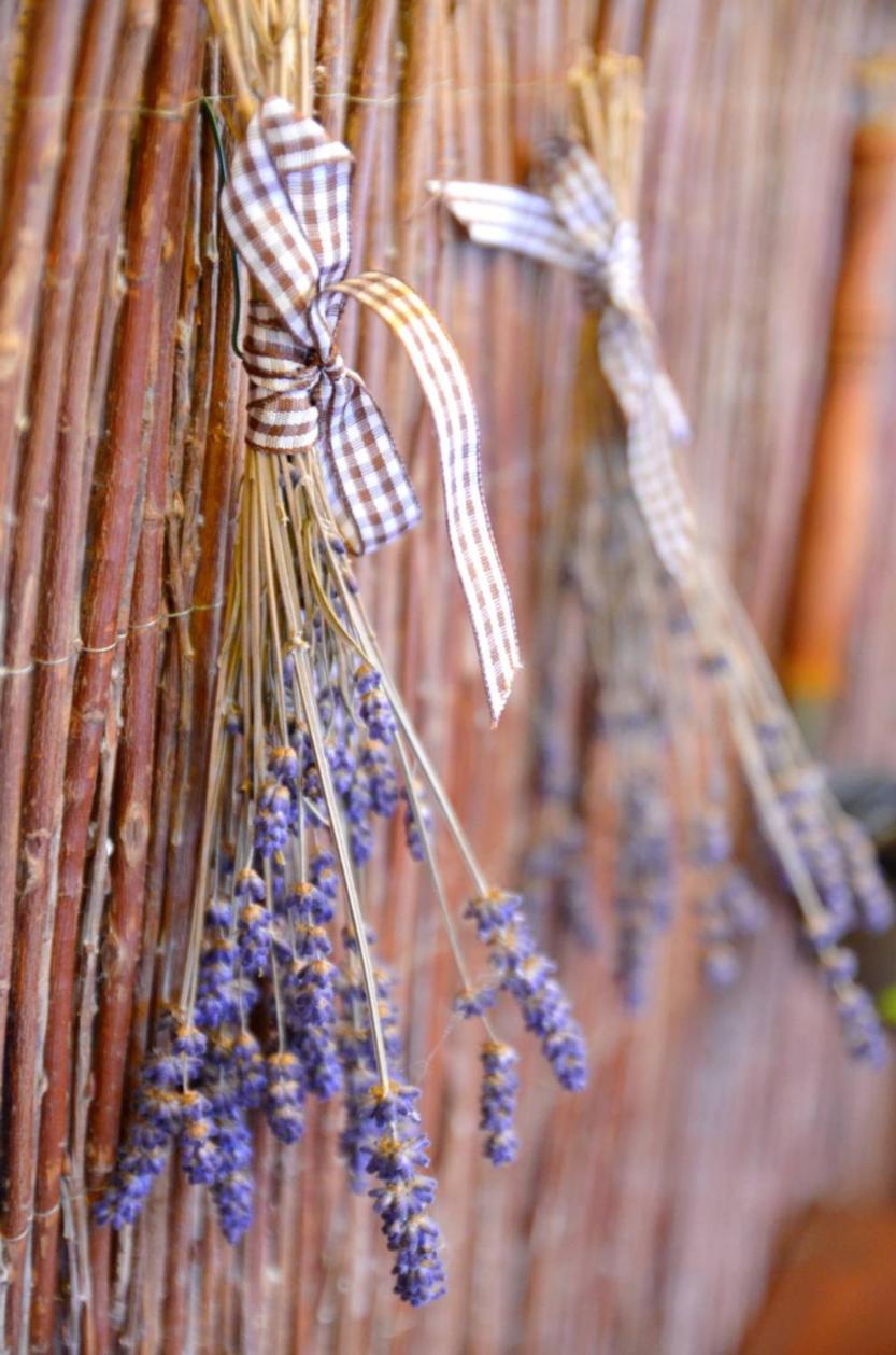 Photo 141