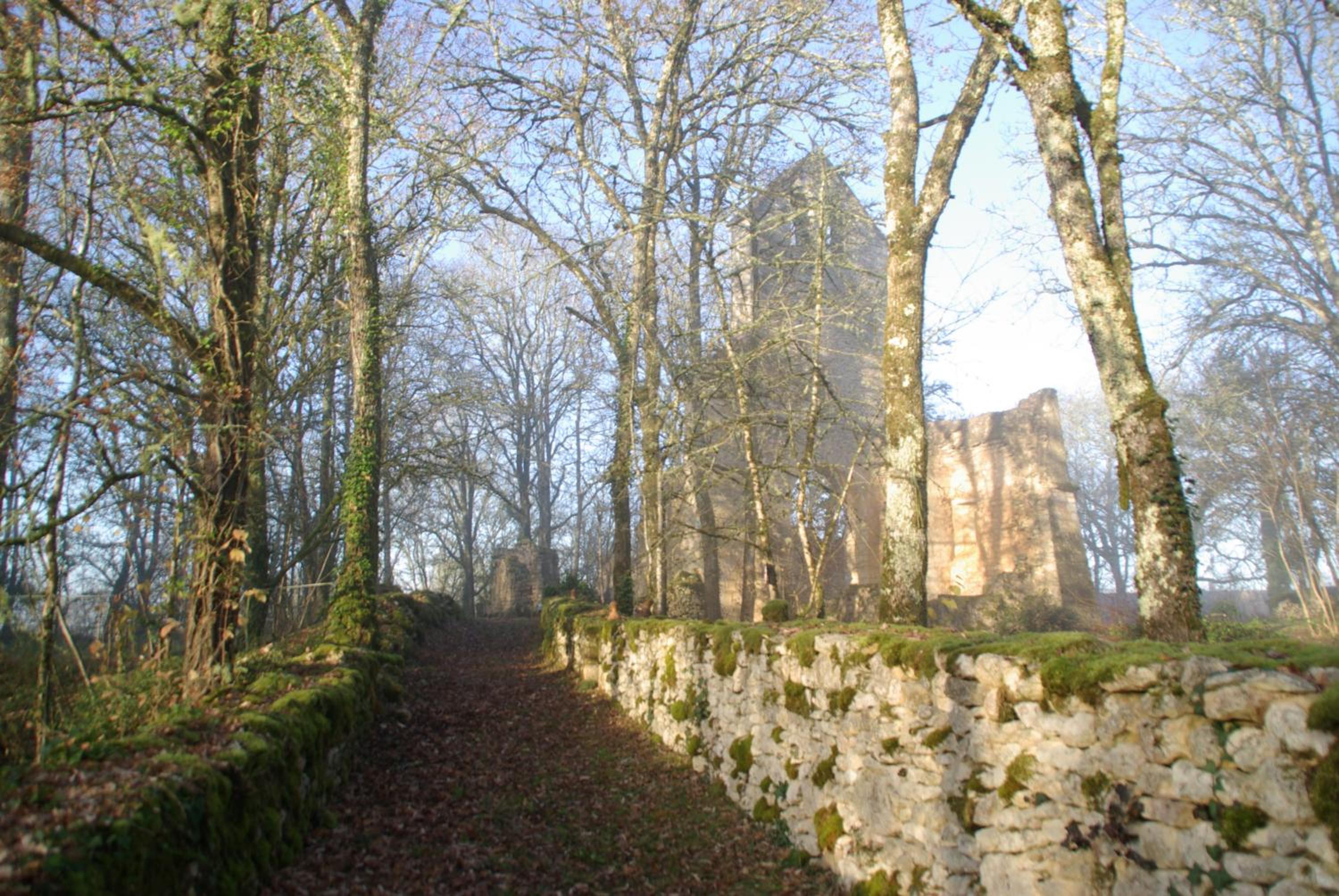 Photo 31