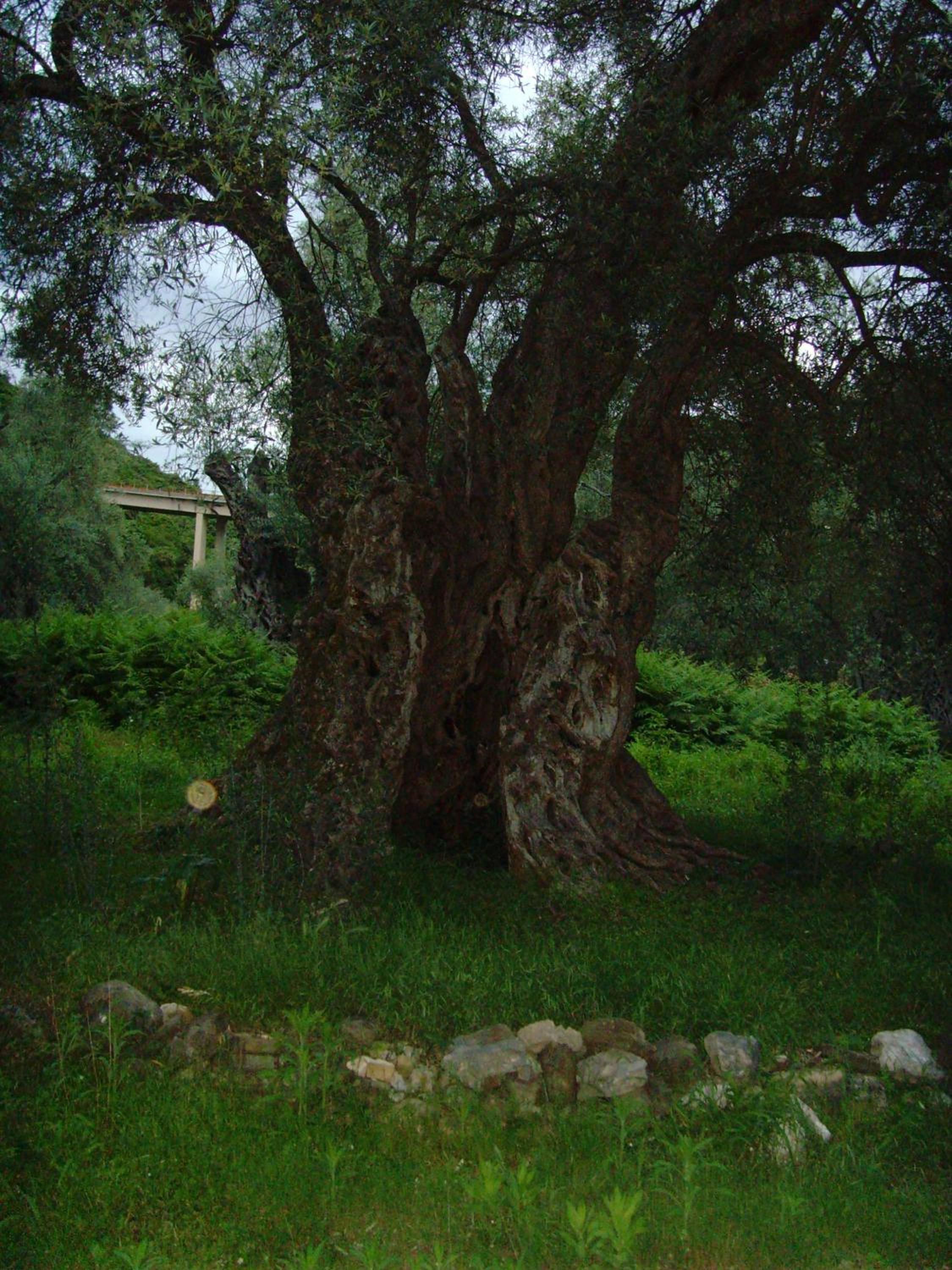 Photo 58