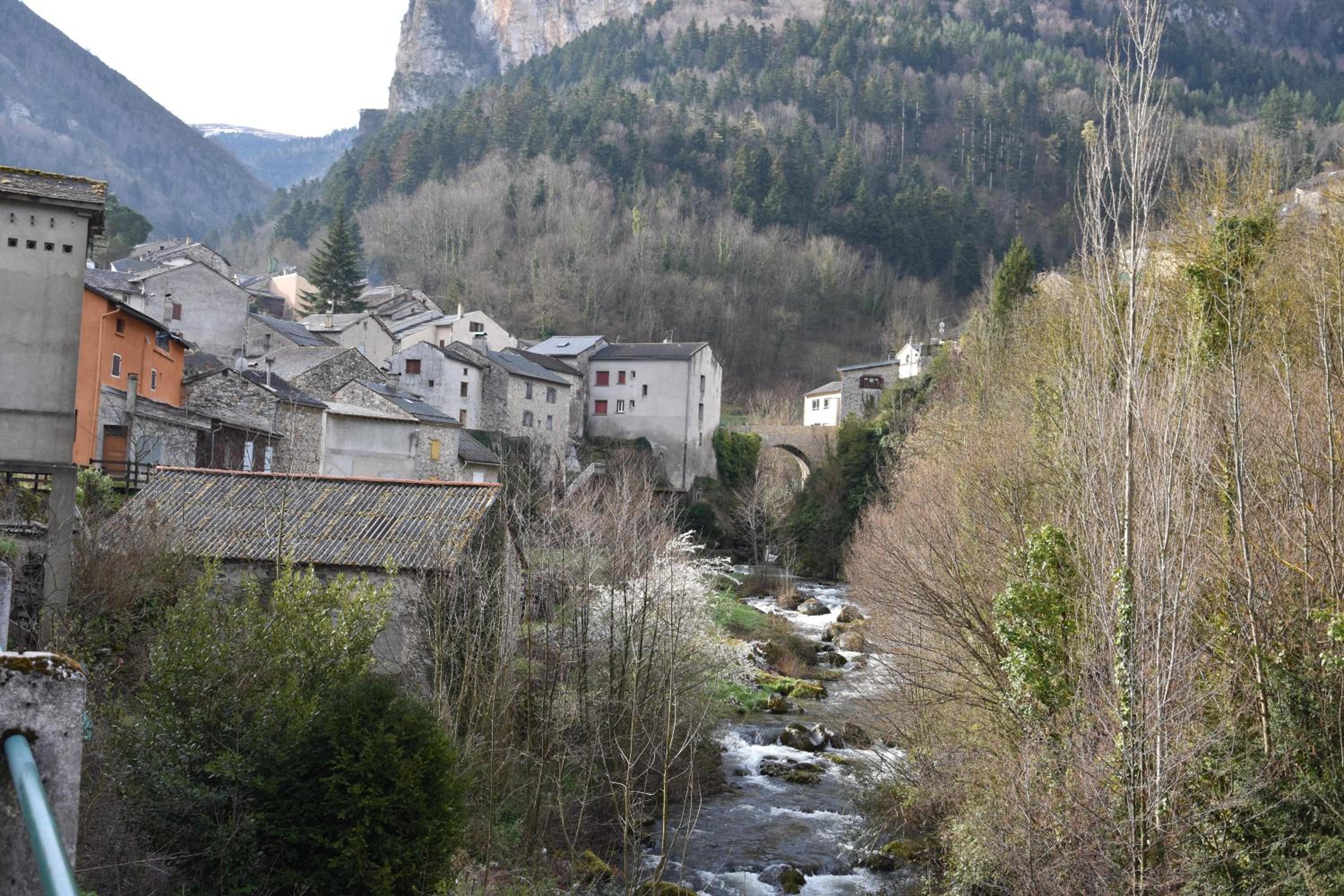 Photo 12