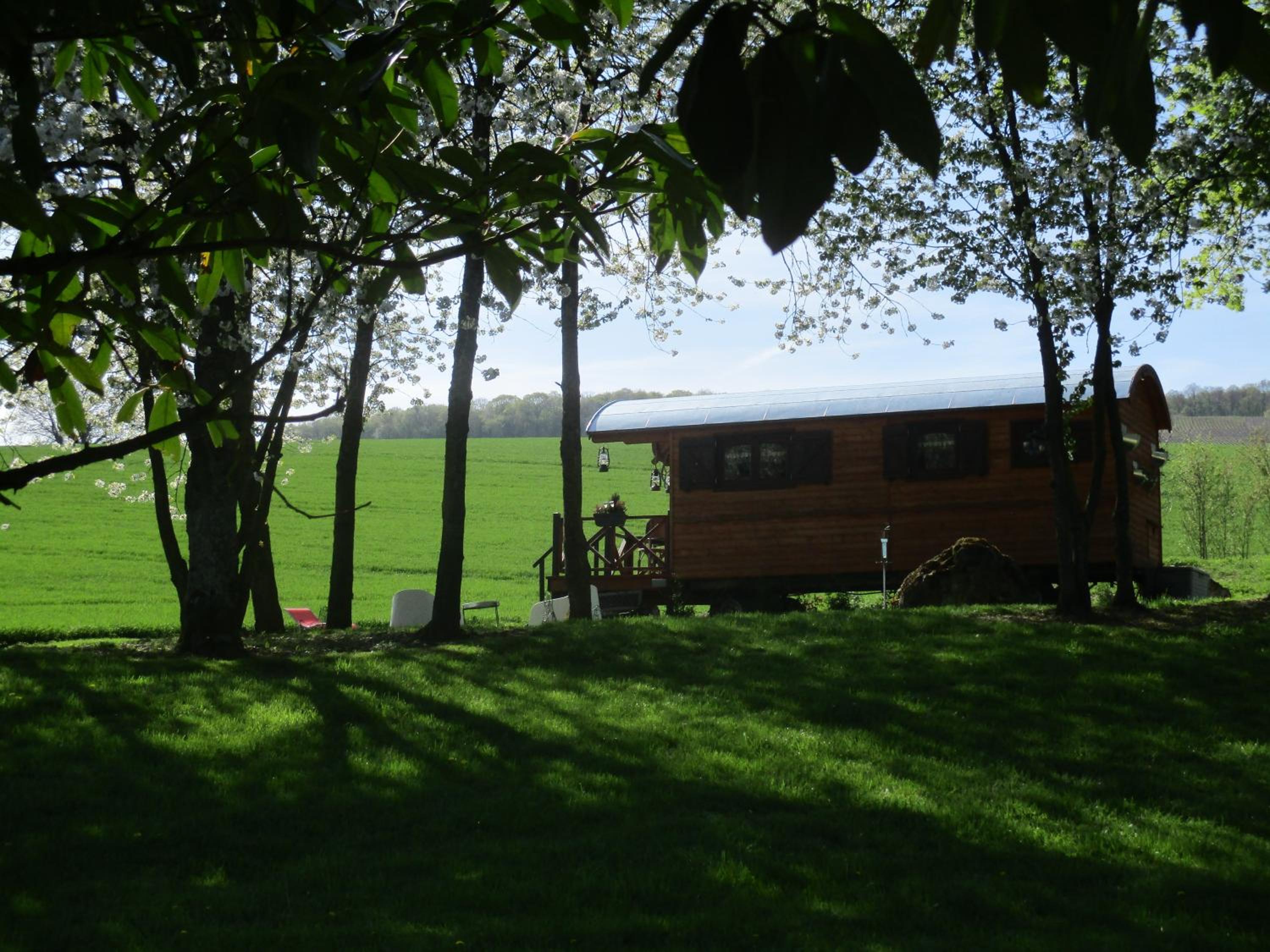 Photo 16