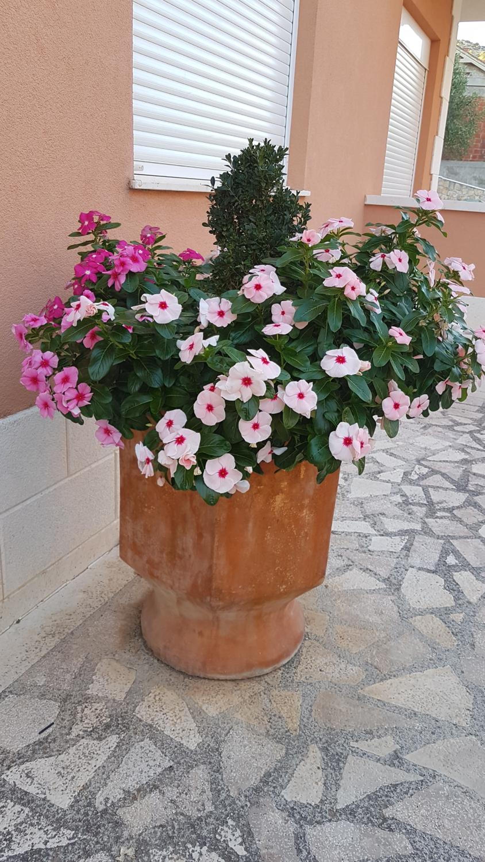Apartman Jukic