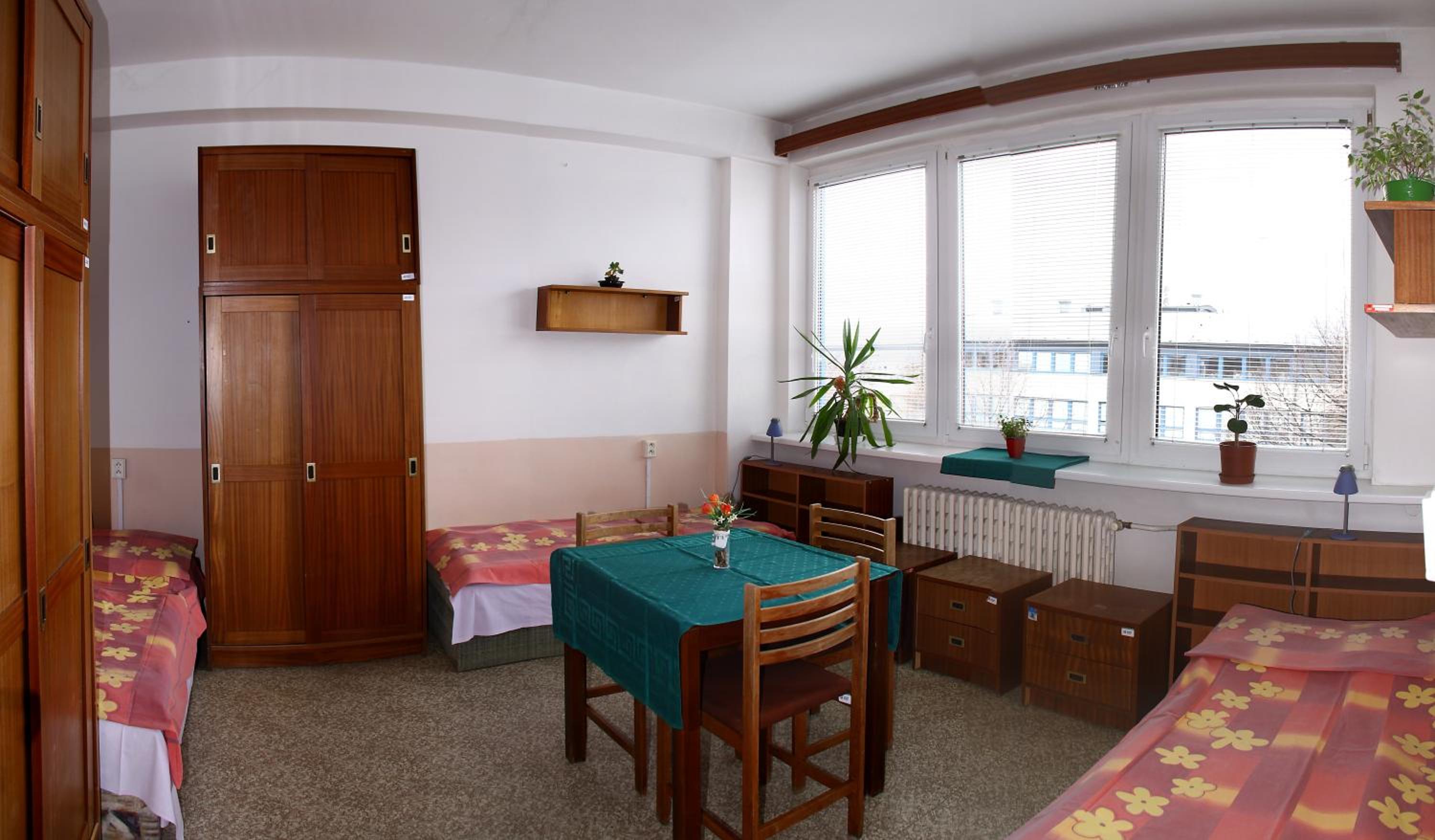 Hostel Modrá