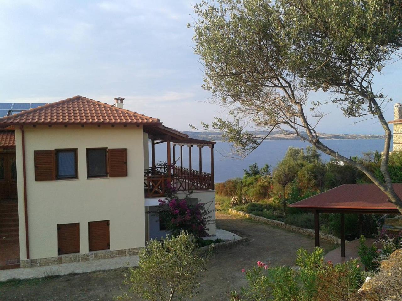 Photo 41