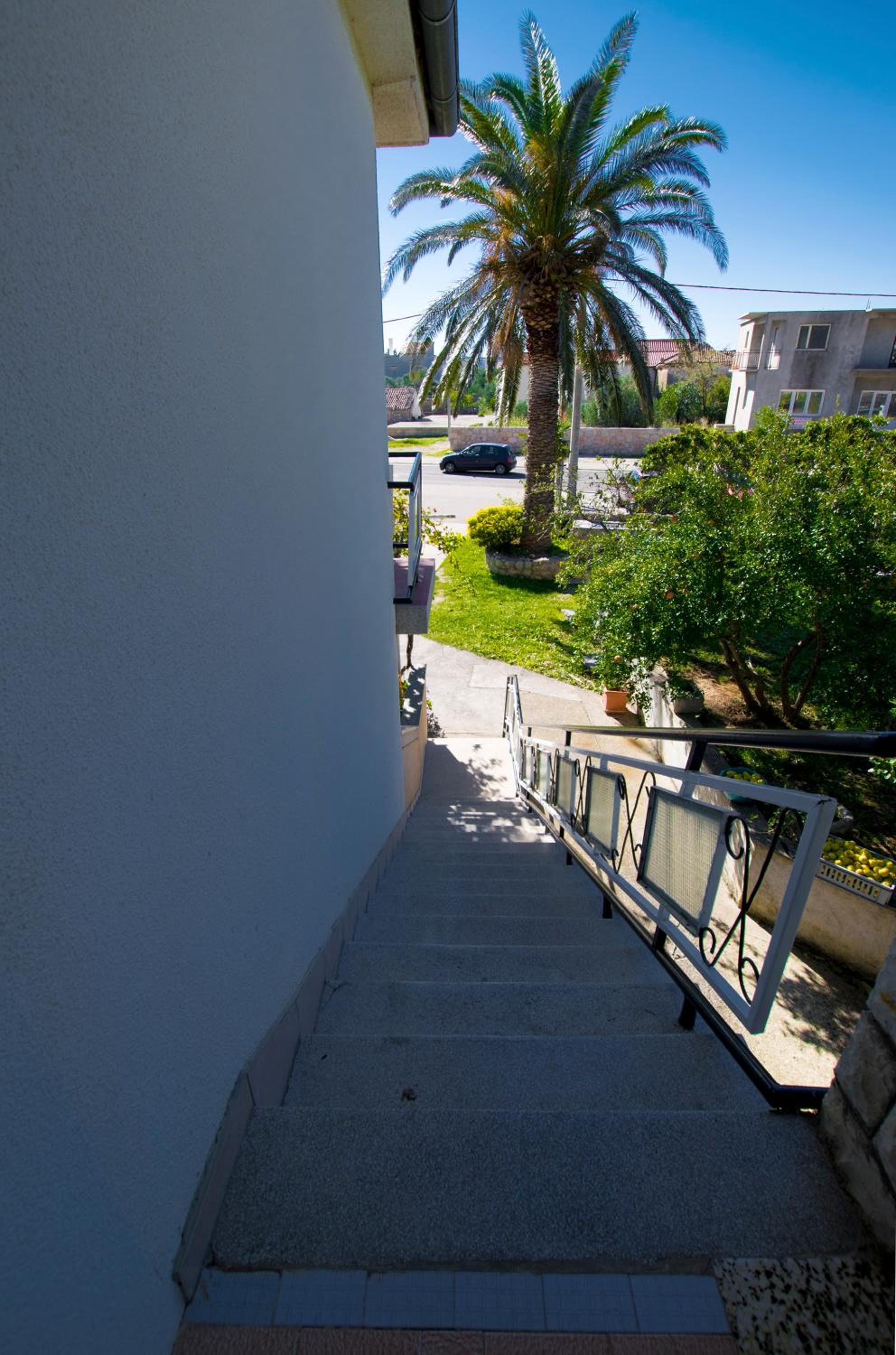 Photo 51