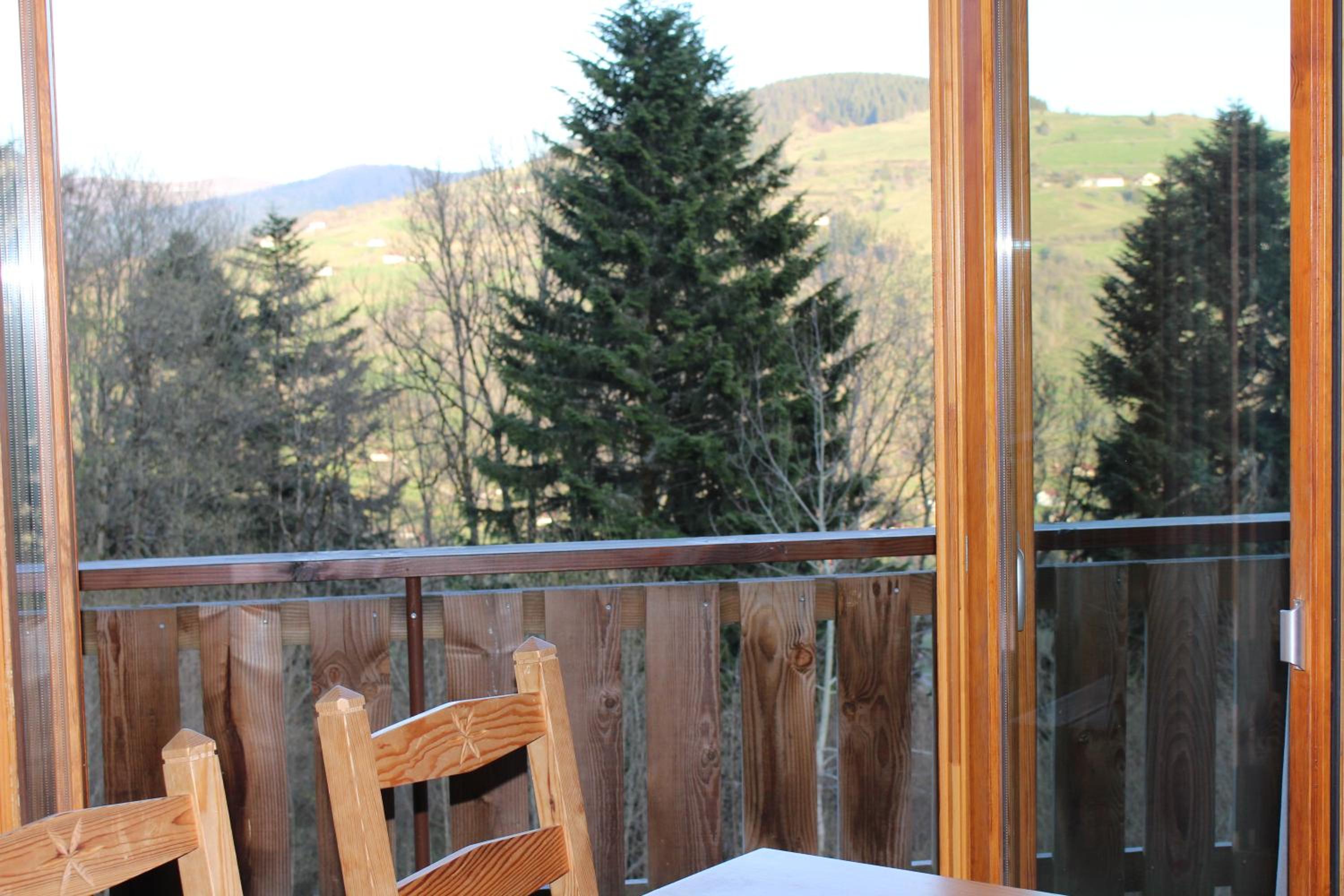 Chalet Les Bouleaux, la montagne des lamas
