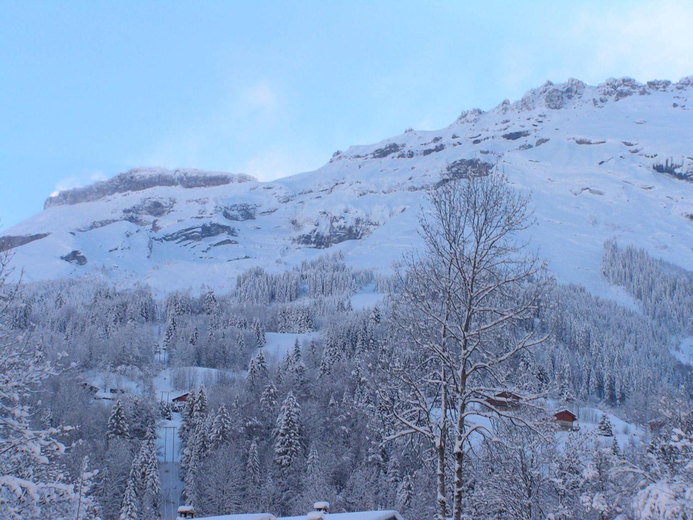 Chalet Narcisse view 2