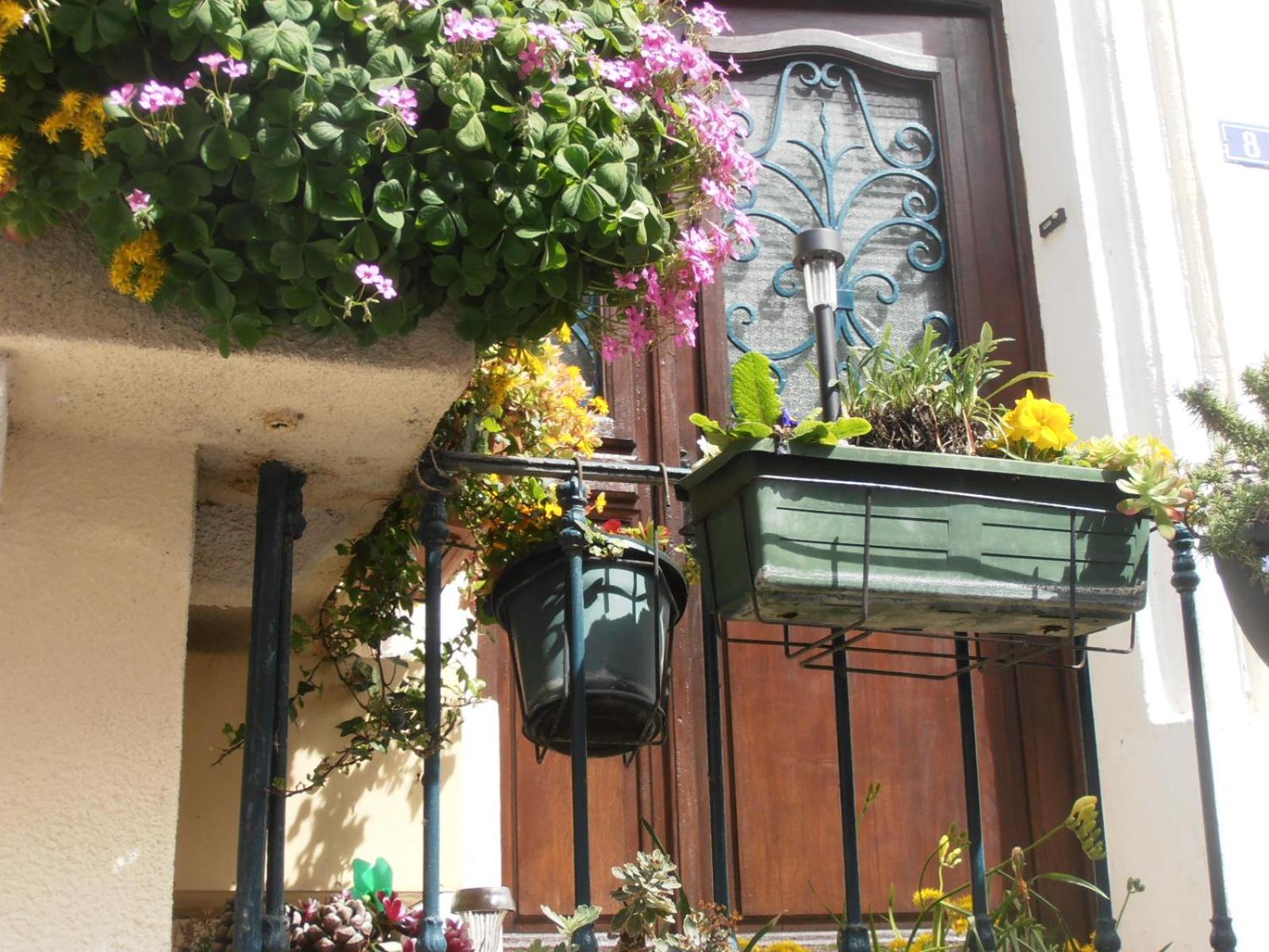 L'Orchidée view 4