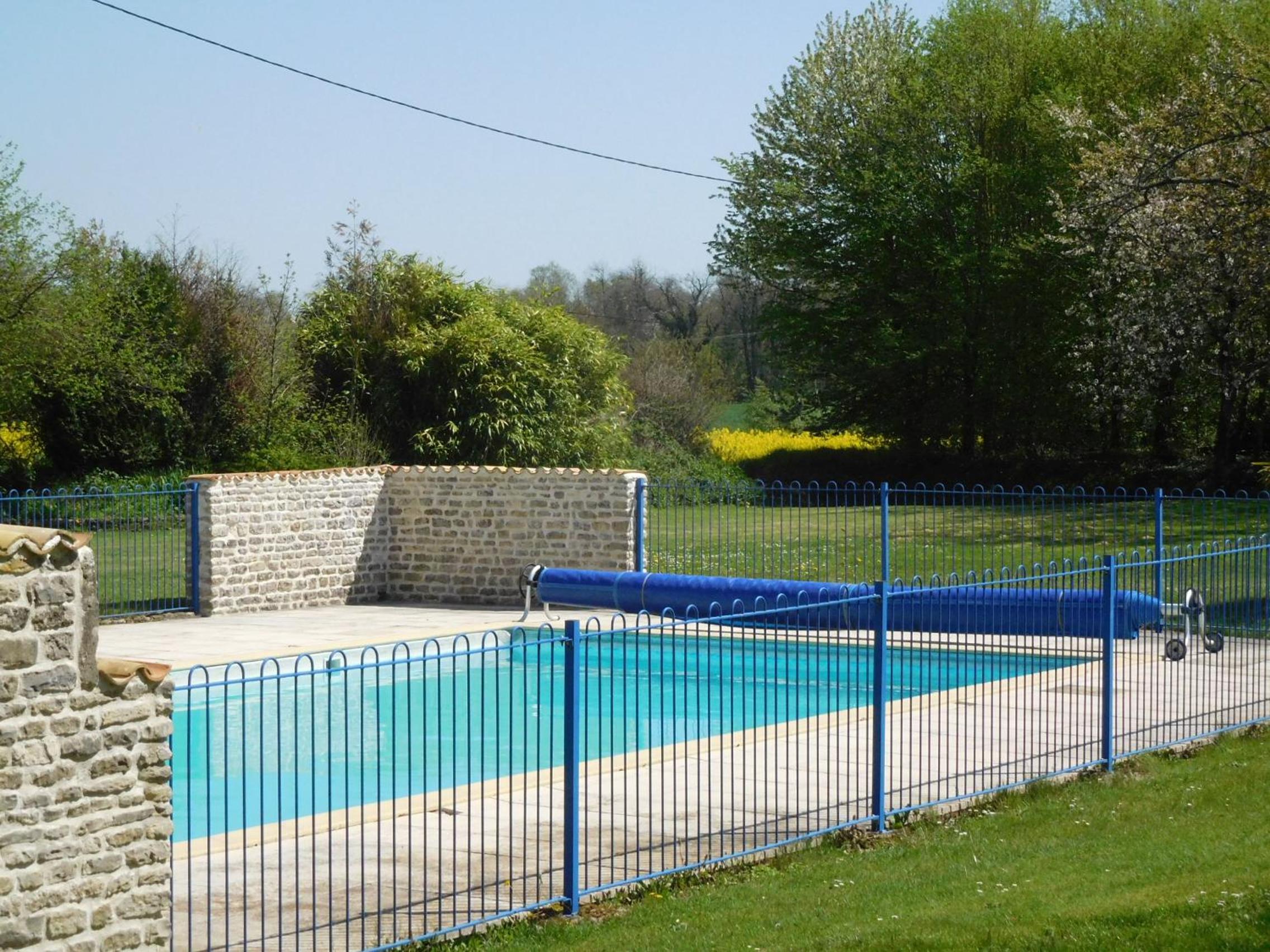 Photo 11