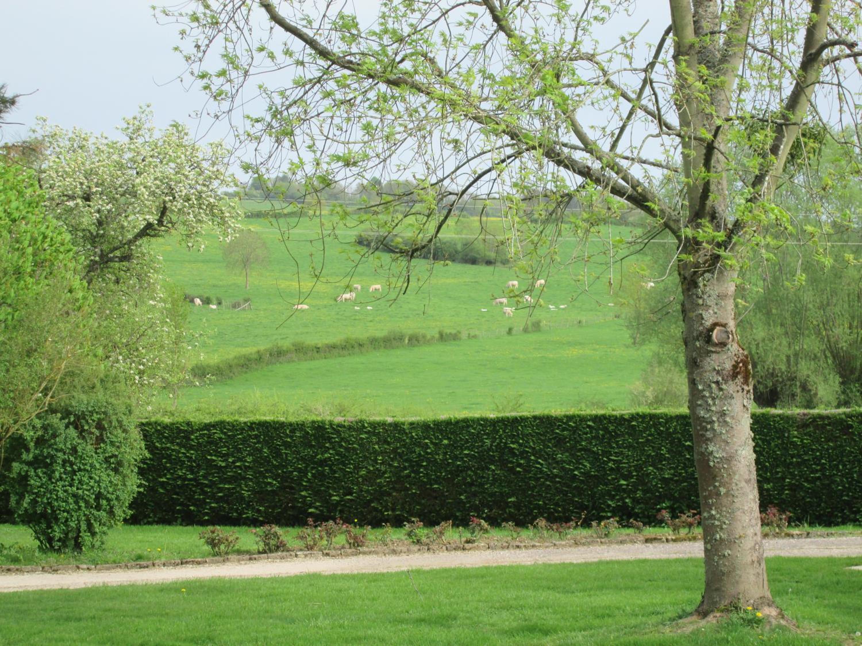 Le clos de la perdrix view 4