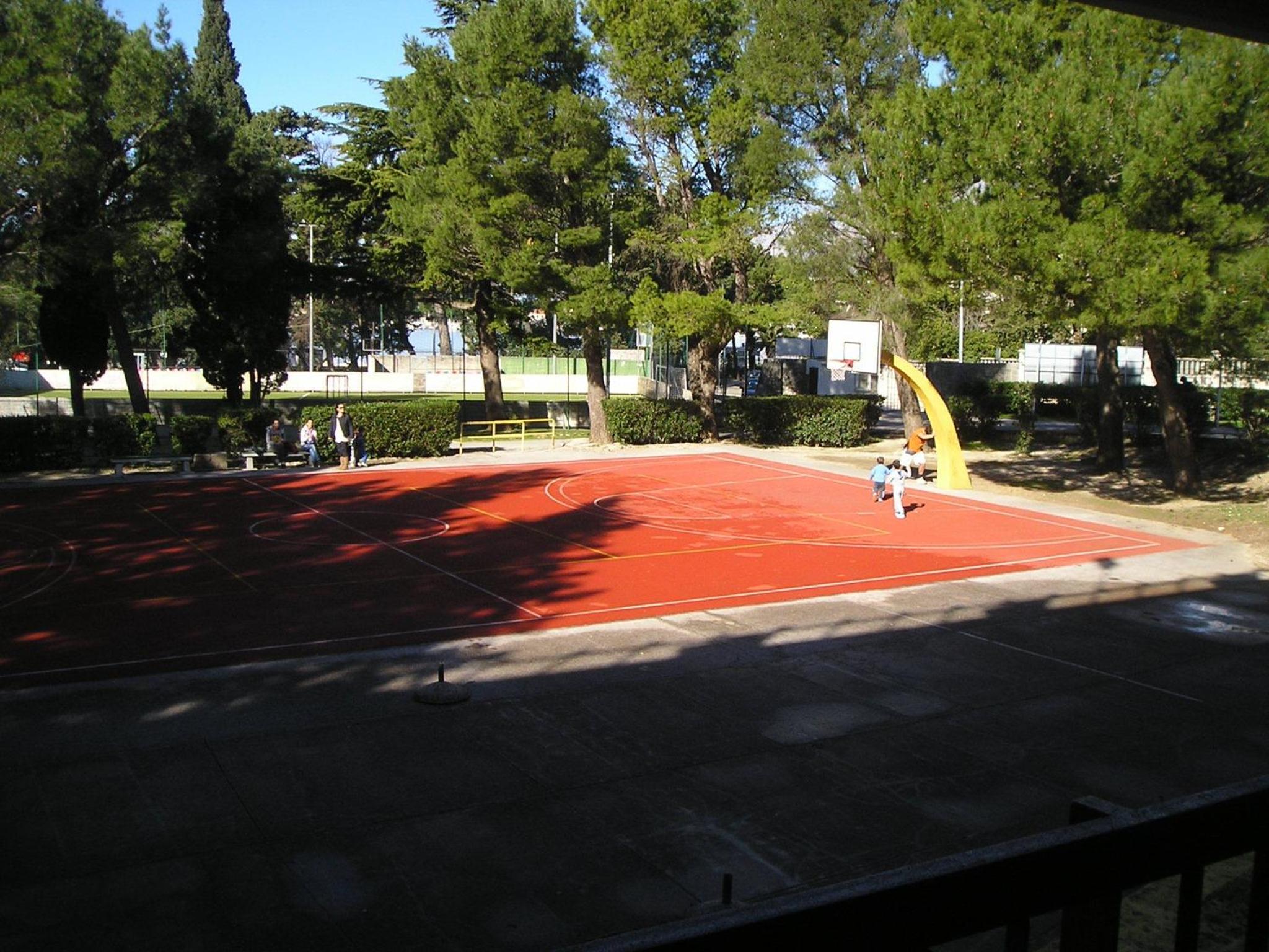 Photo 12