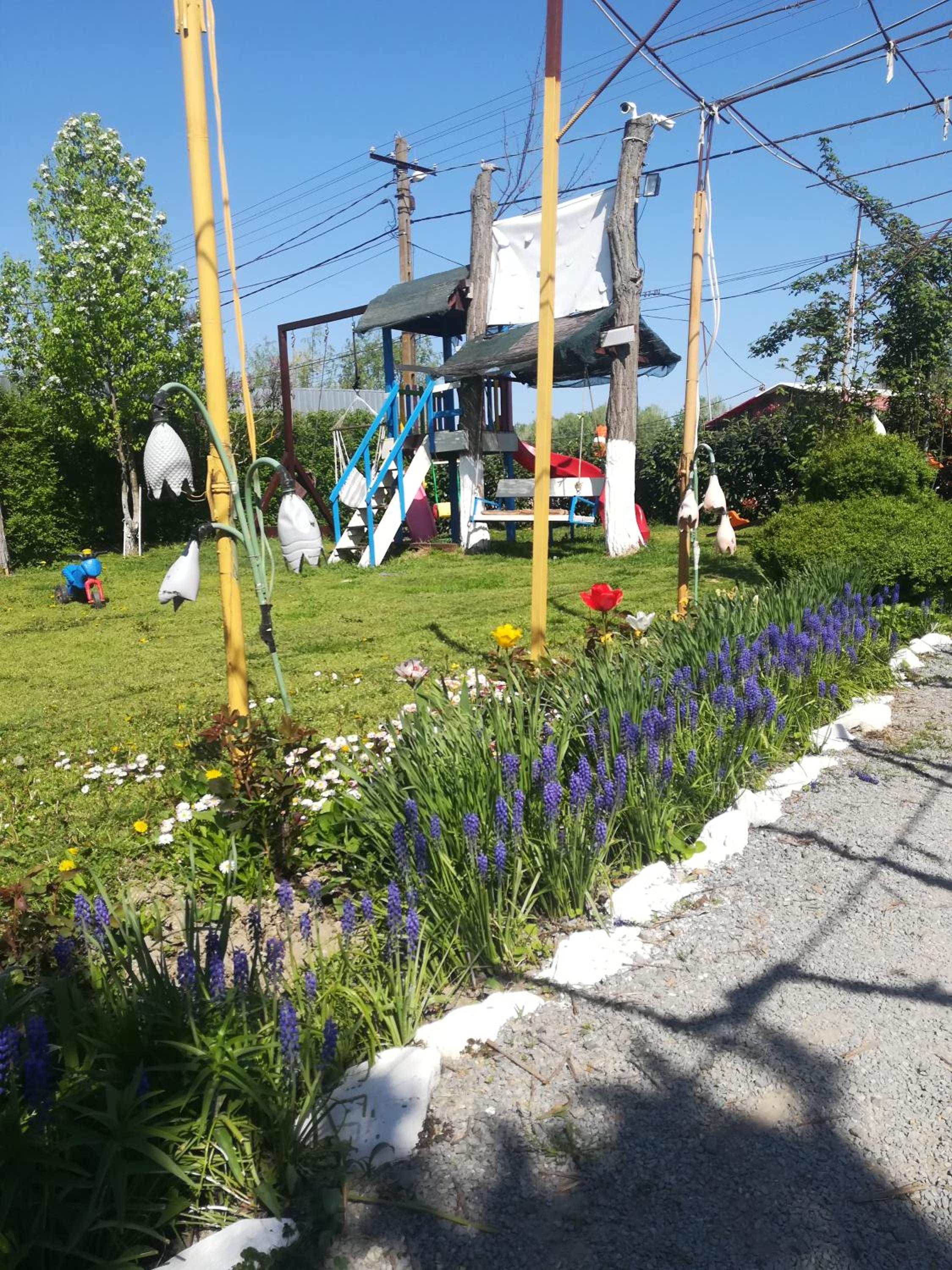 Photo 16