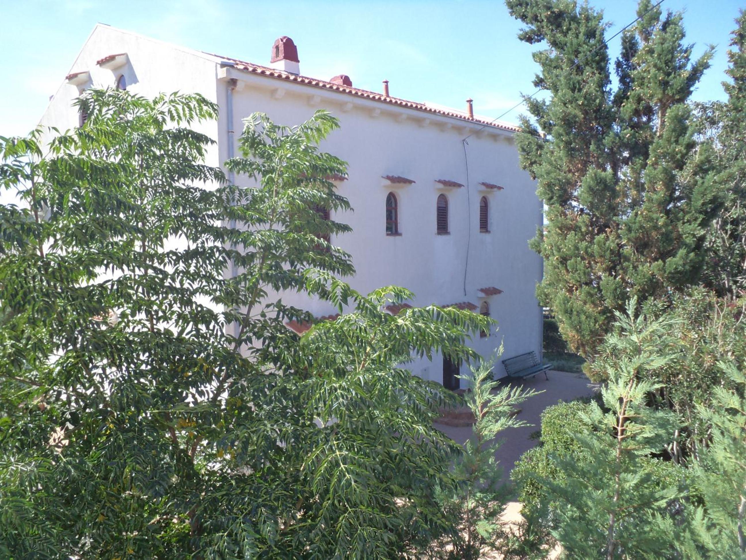 Photo 51