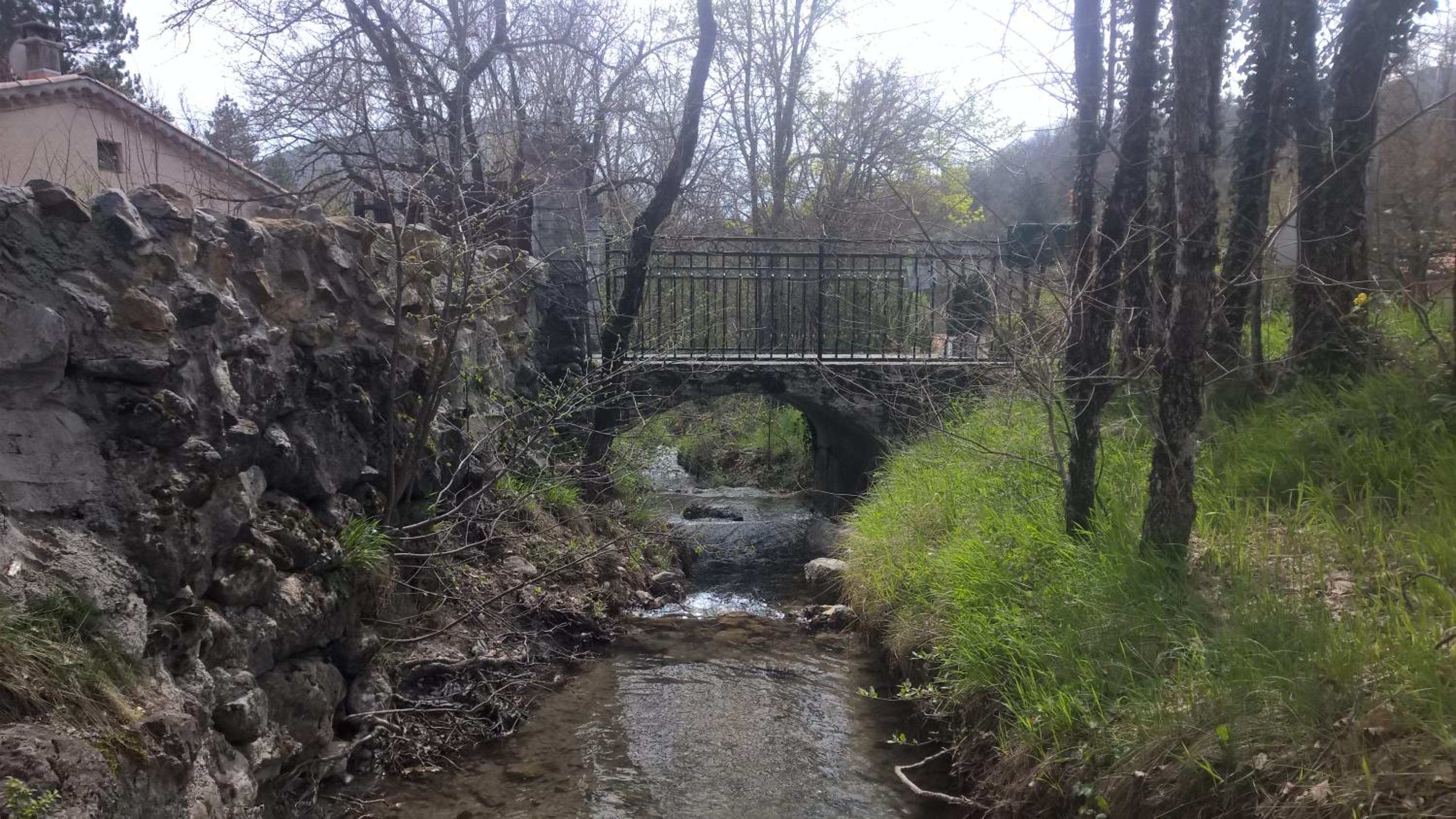 Photo 47