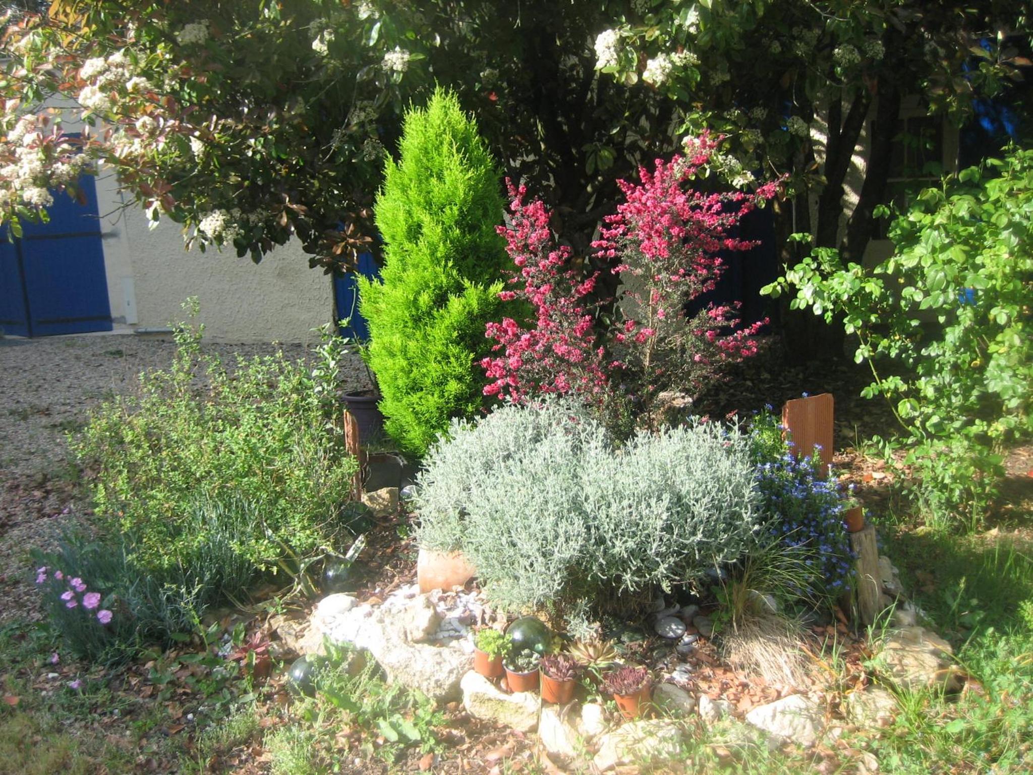 Photo 14