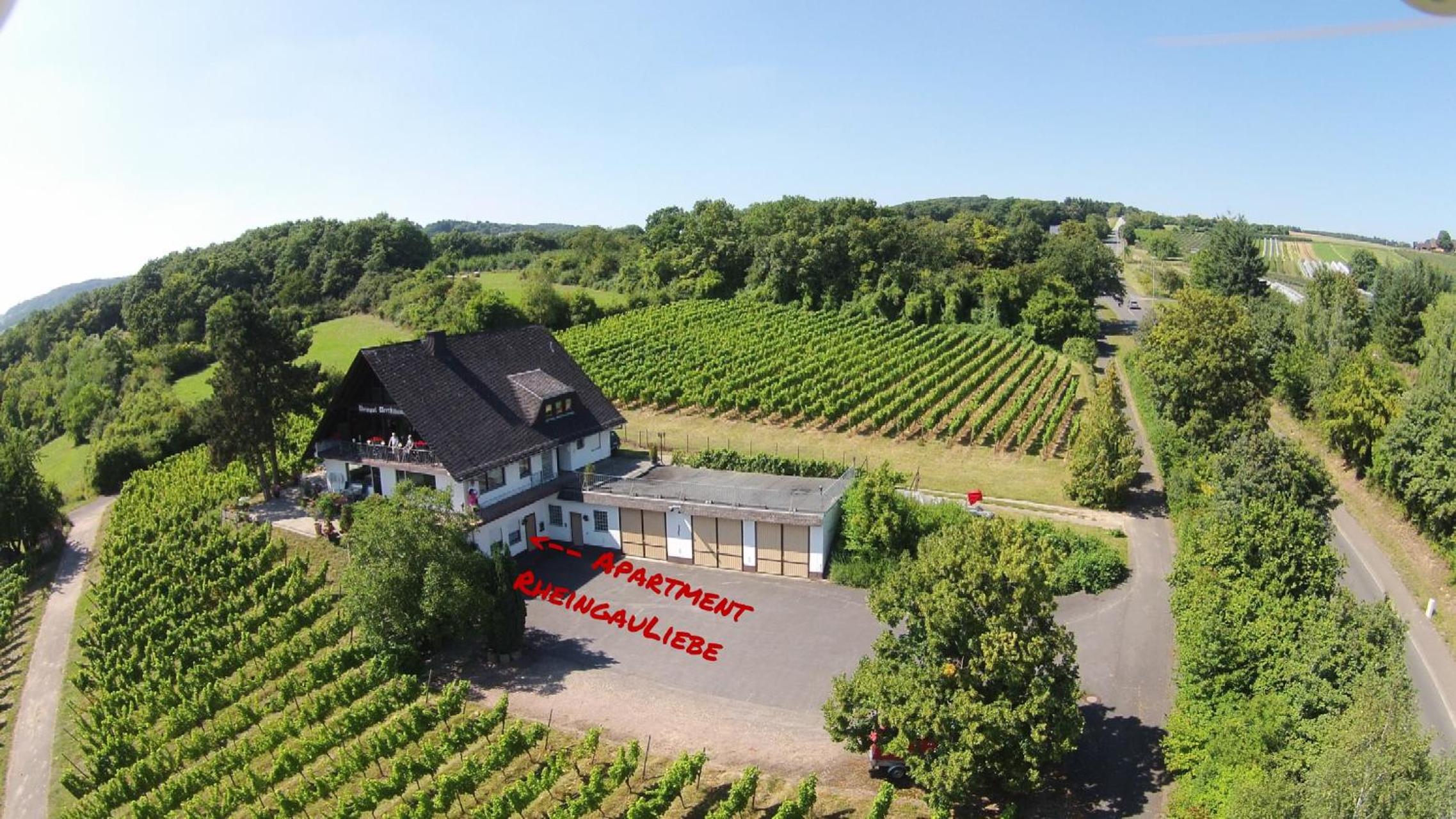 DAS Apartment am Weinberg