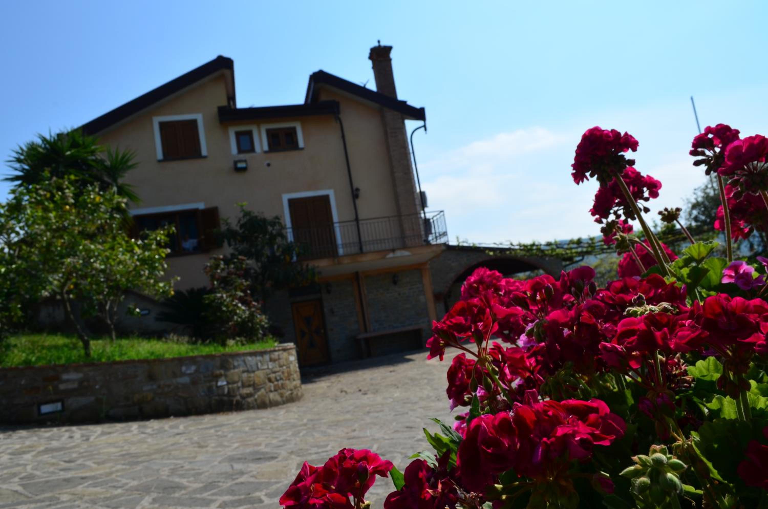 Le Cicale