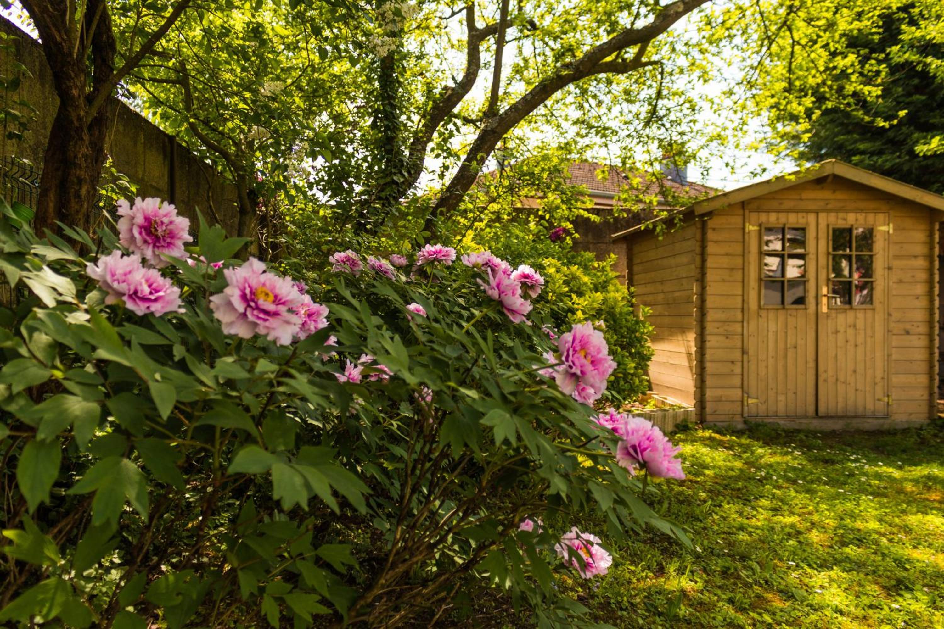Carpe Diem Bed & Breakfast