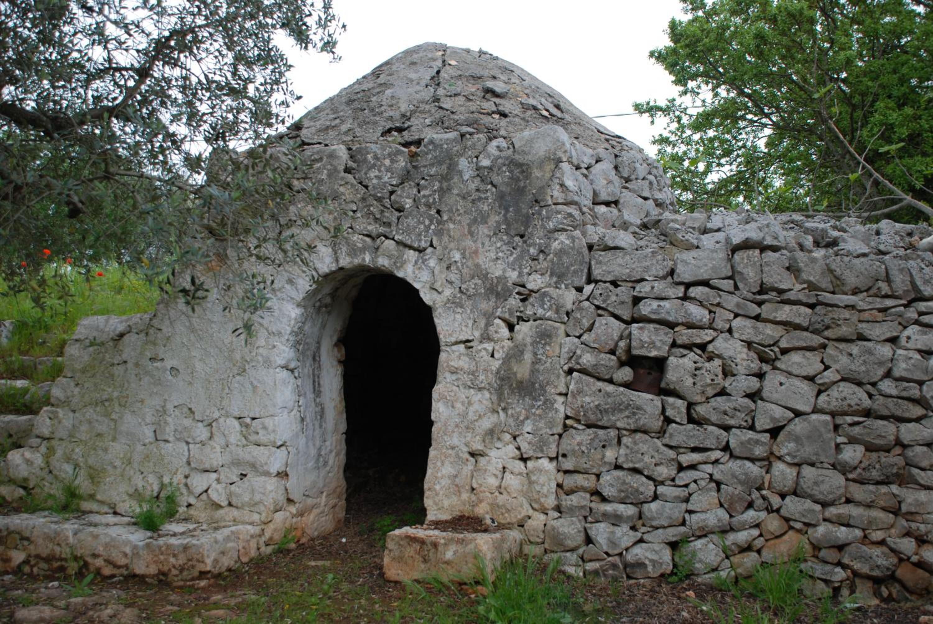 Photo 48