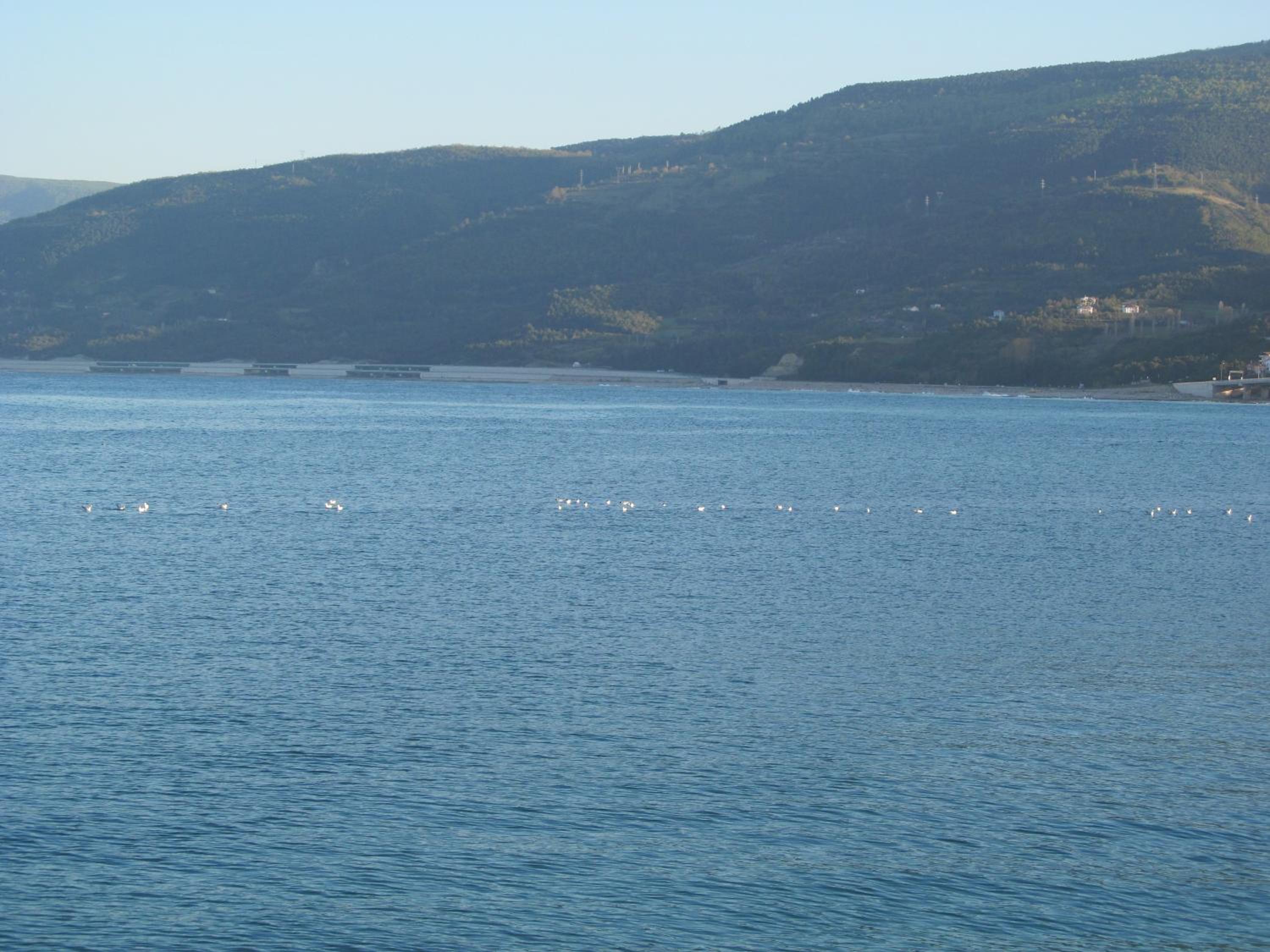 Photo 42