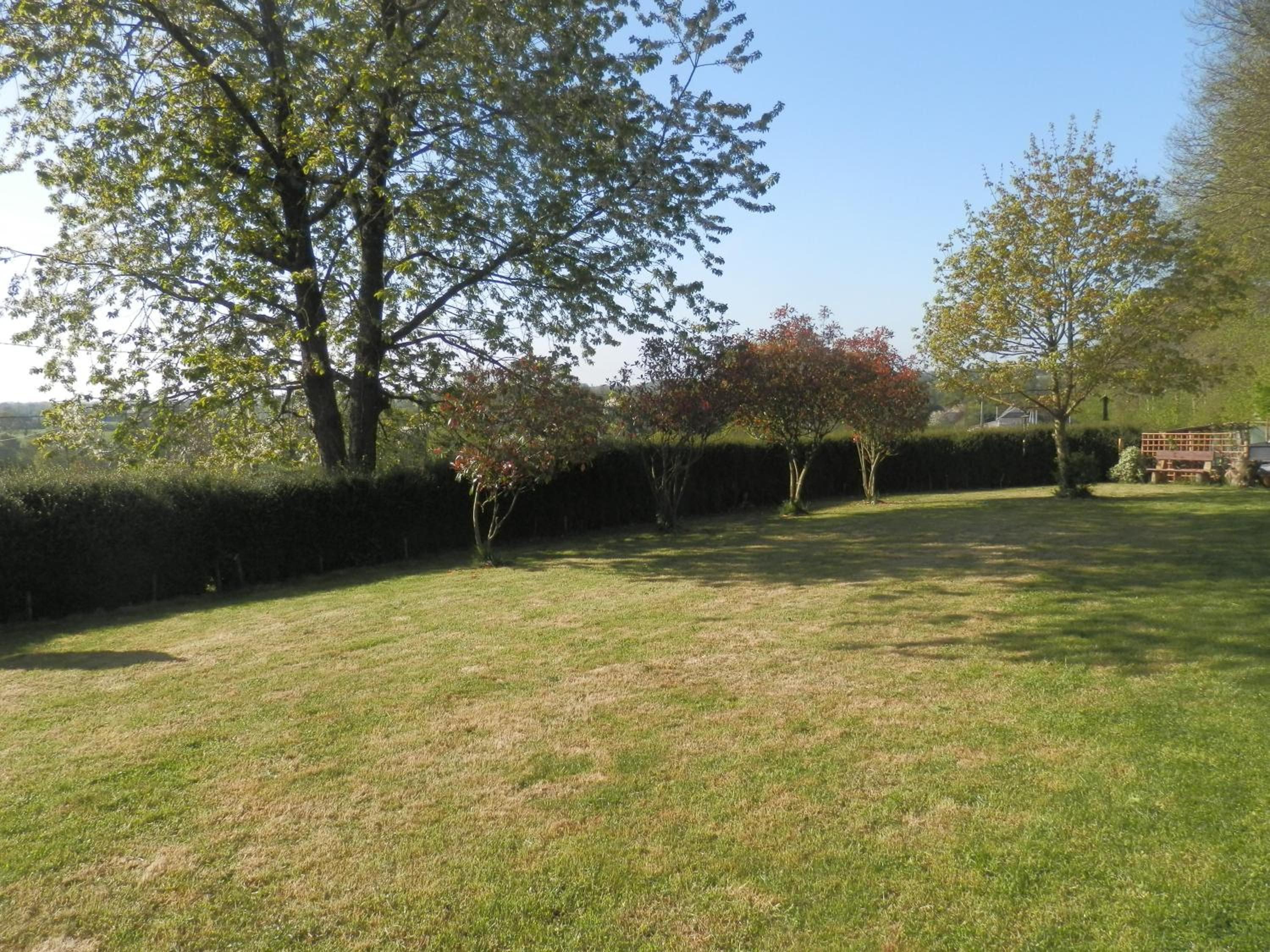 Photo 31