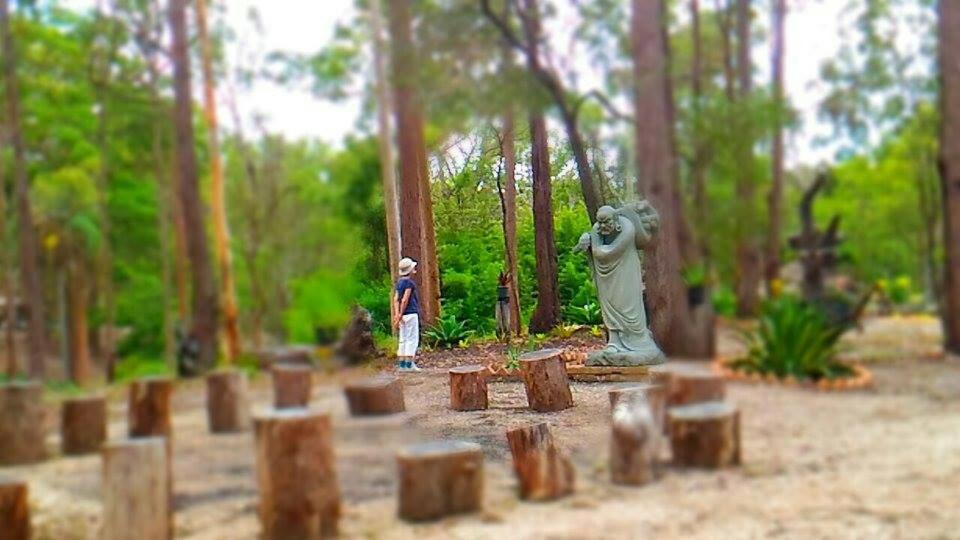 children's play area