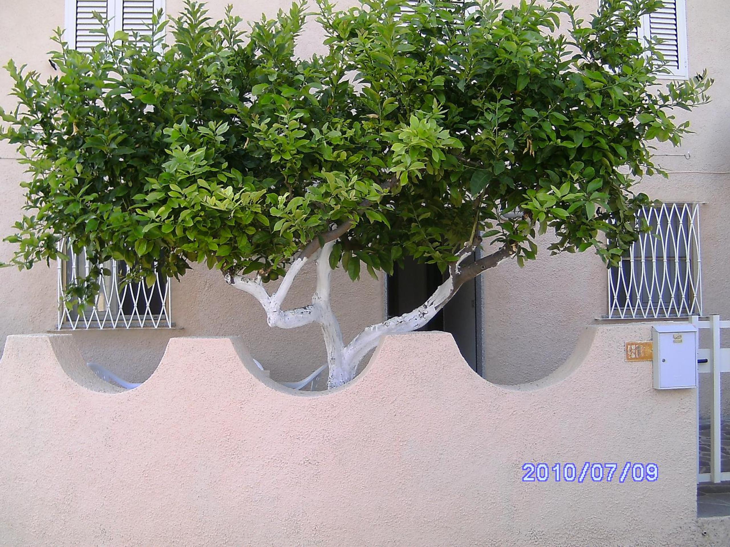 "The Artist's Home" view 3