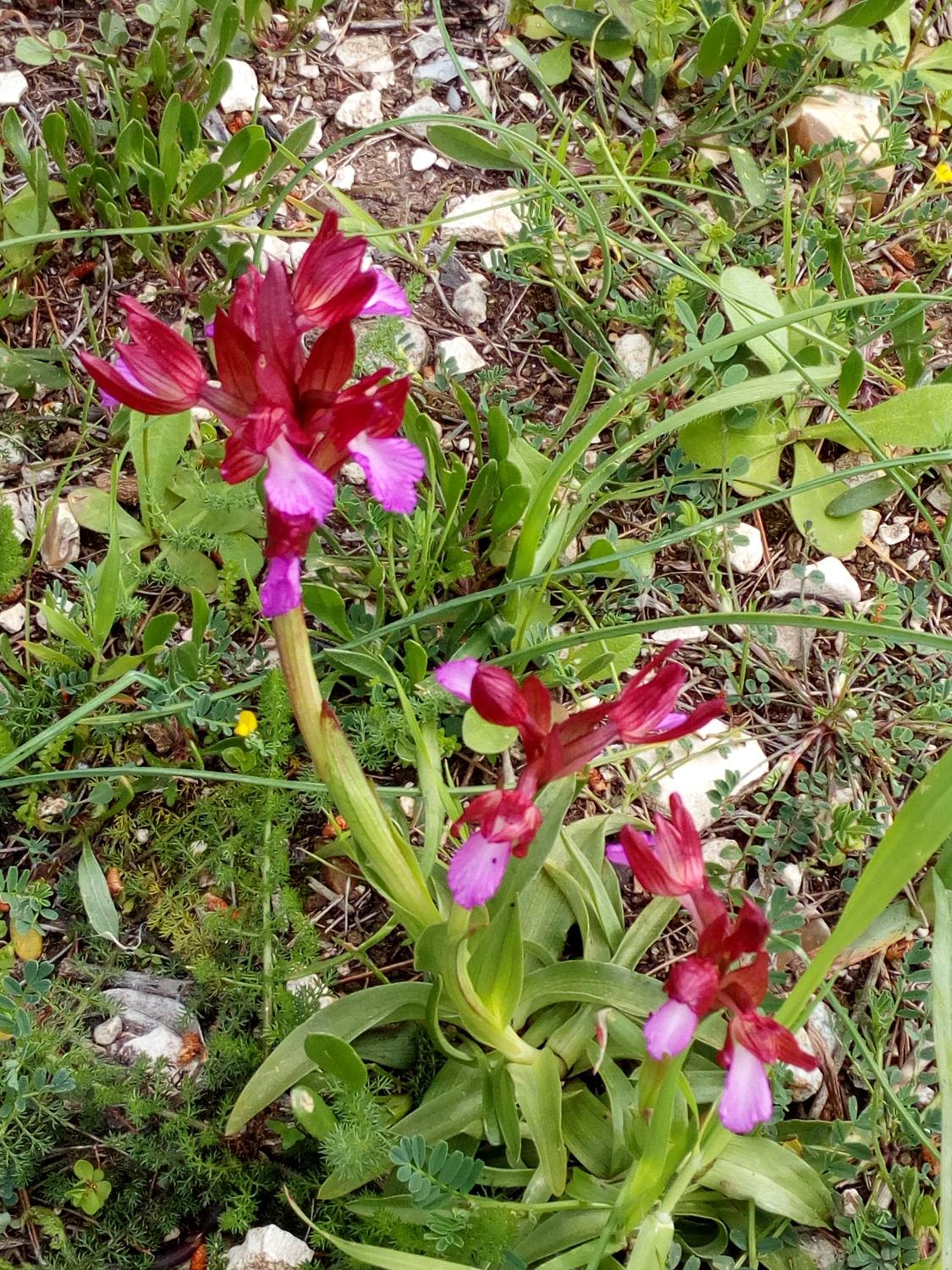 Photo 28