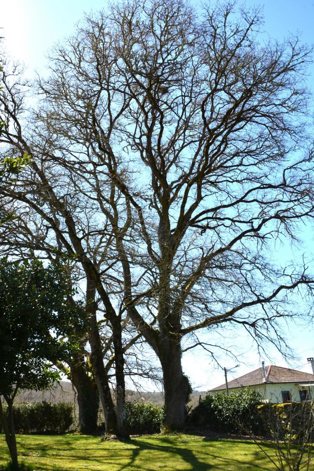 Photo 32