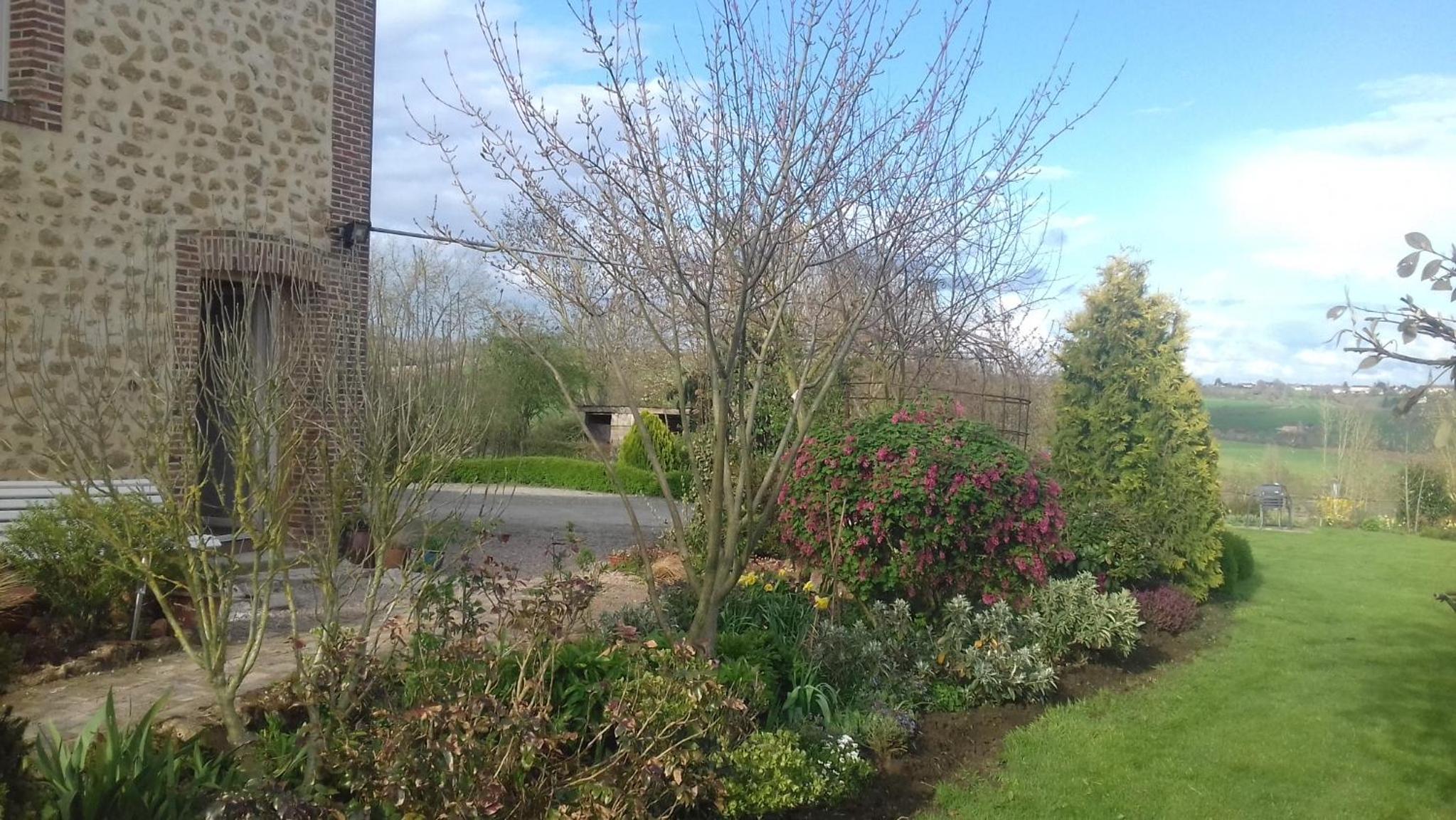 Au Jardin Des Violettes view 4