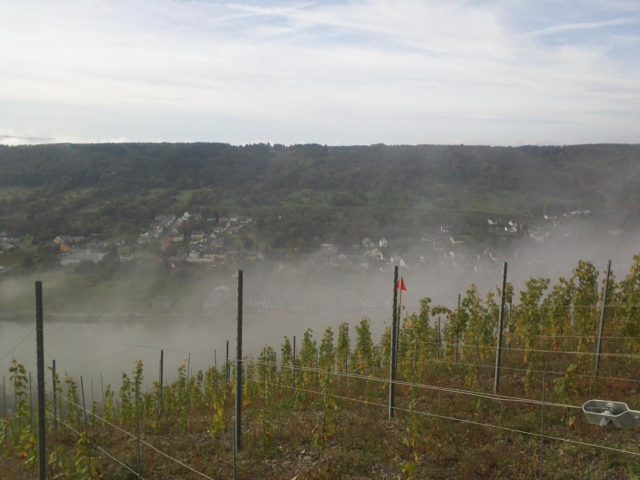 Ferienwohnung-Vinothek Keifer Kinheim