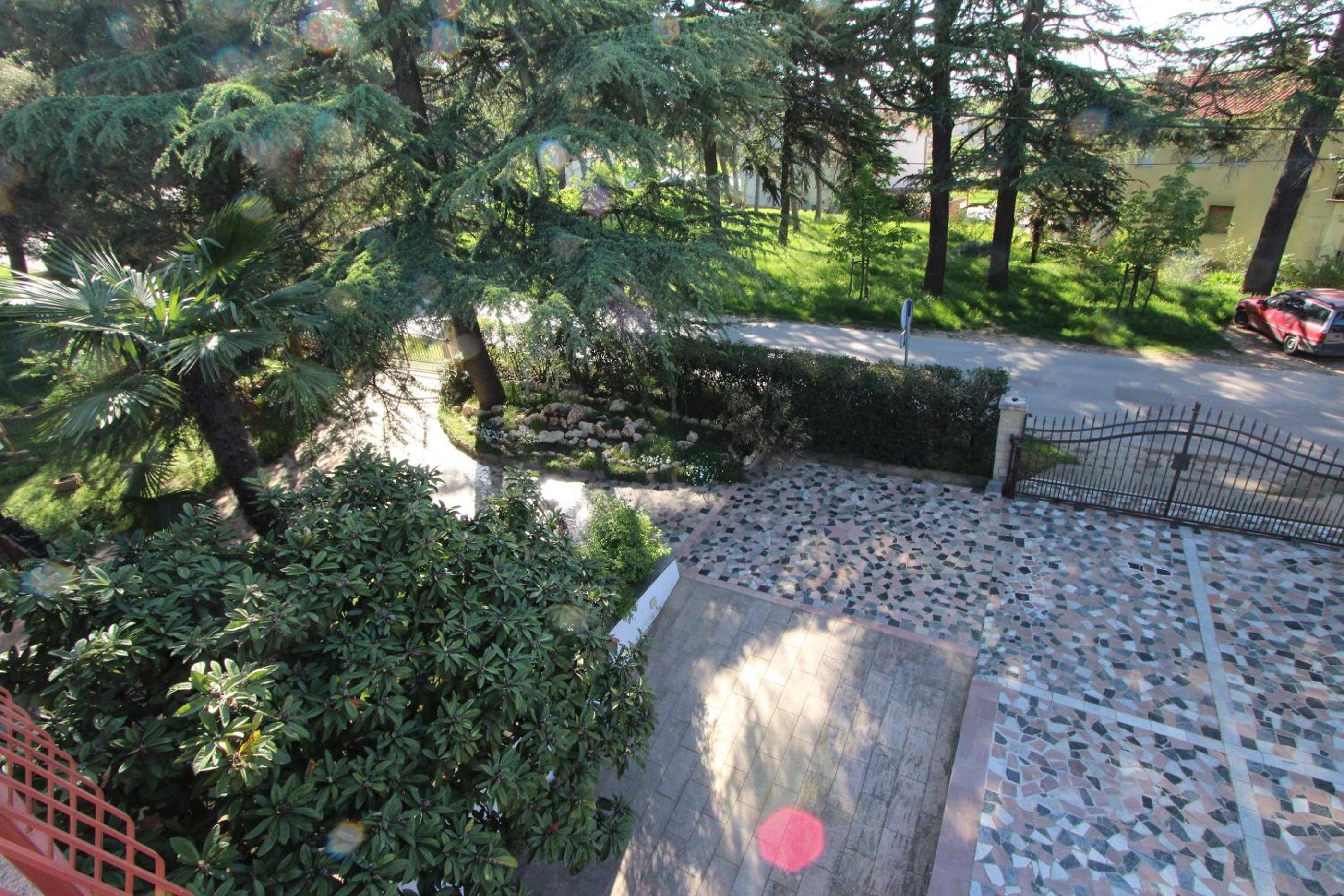 Photo 24