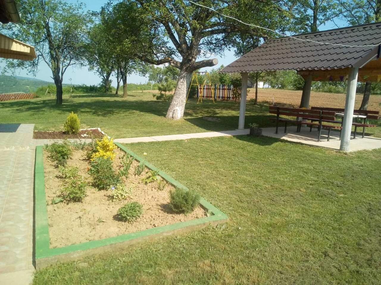 Photo 25