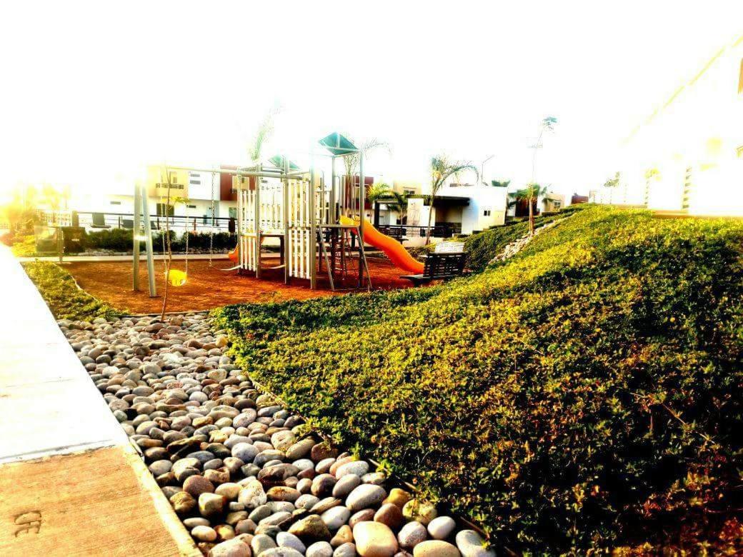 Photo 42