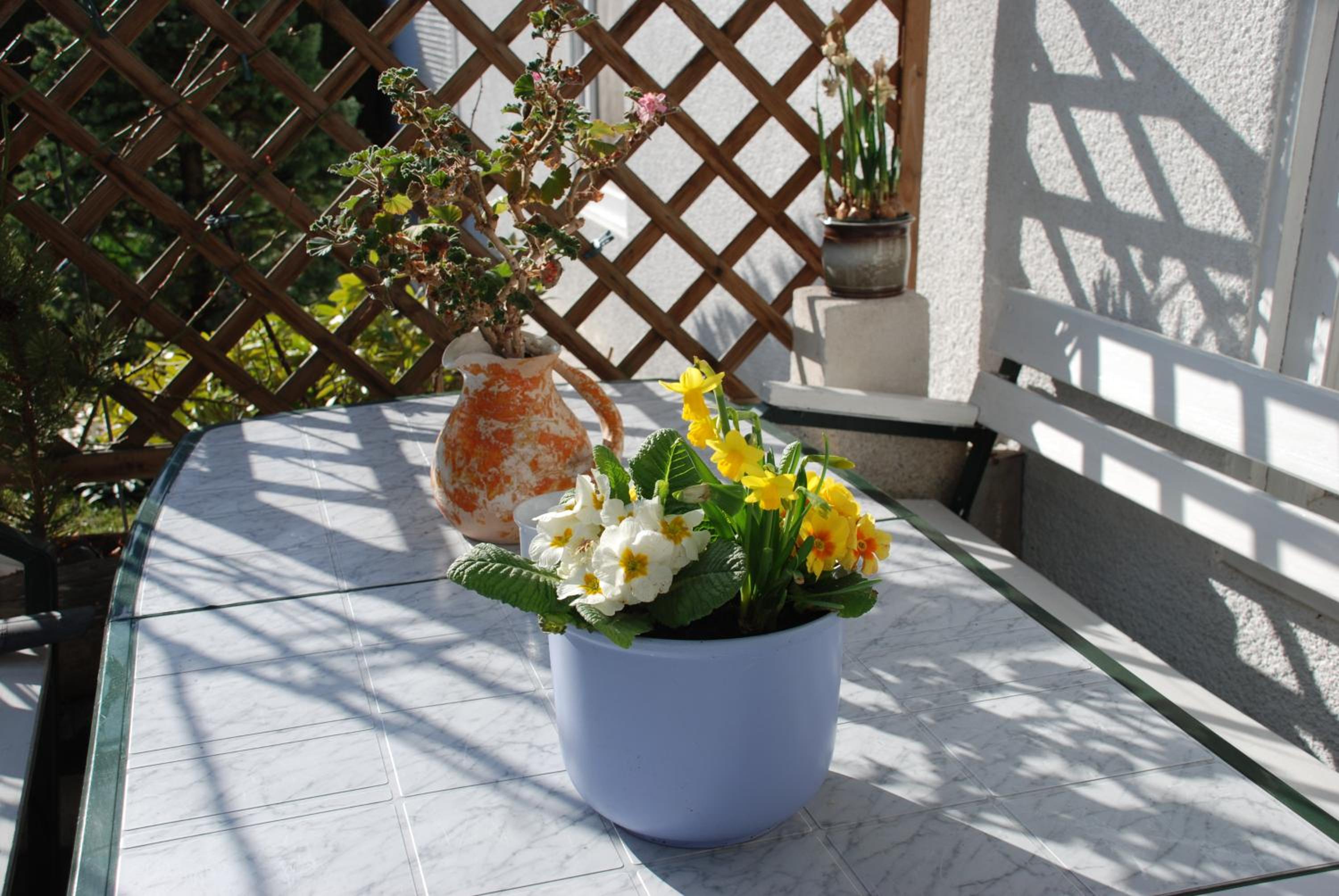Ferienwohnung Hilgenfeld