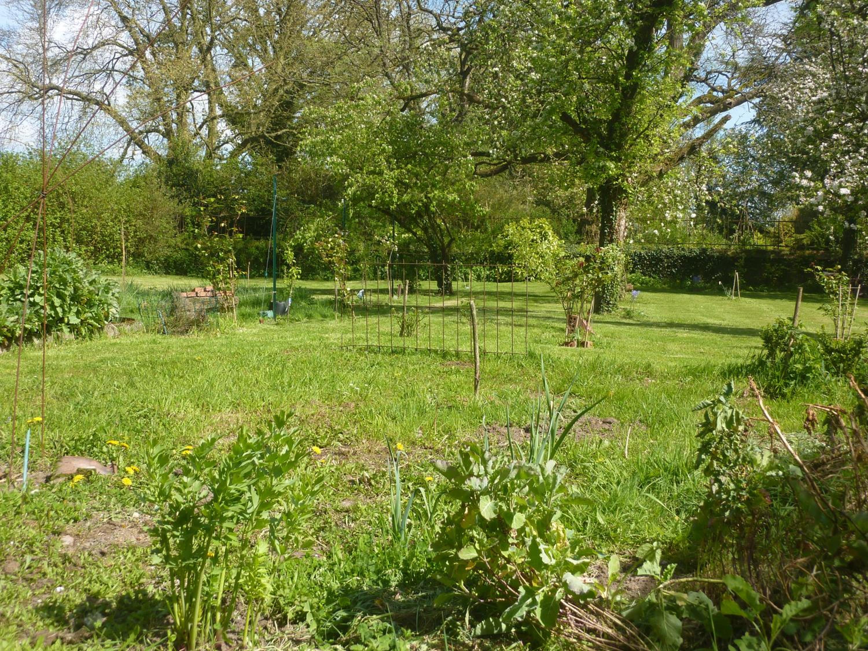 Photo 13