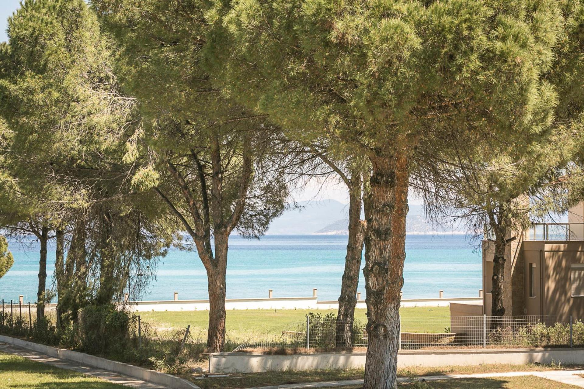 #FLH - Daphne - Beachfront House view 5