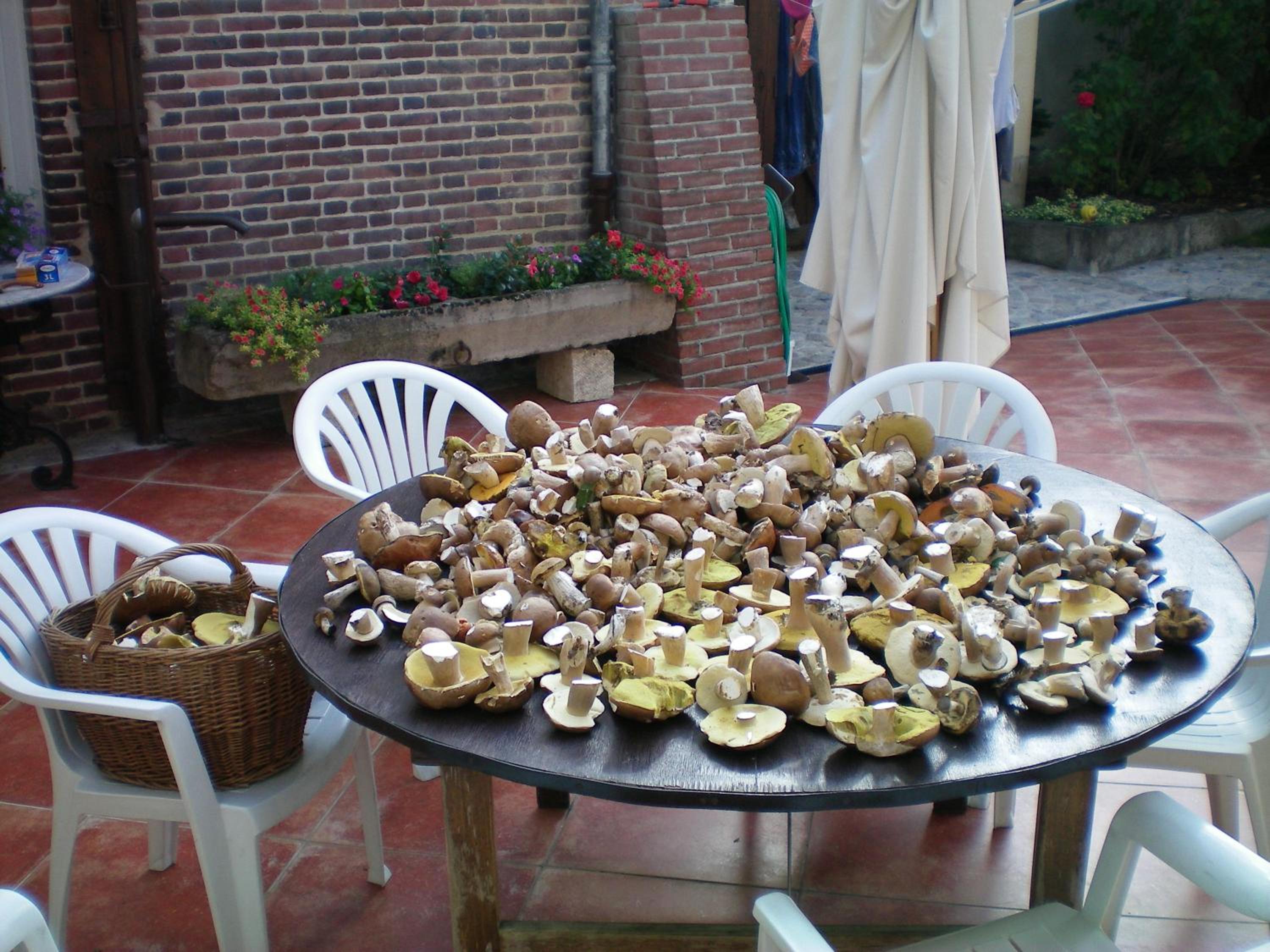 Photo 6