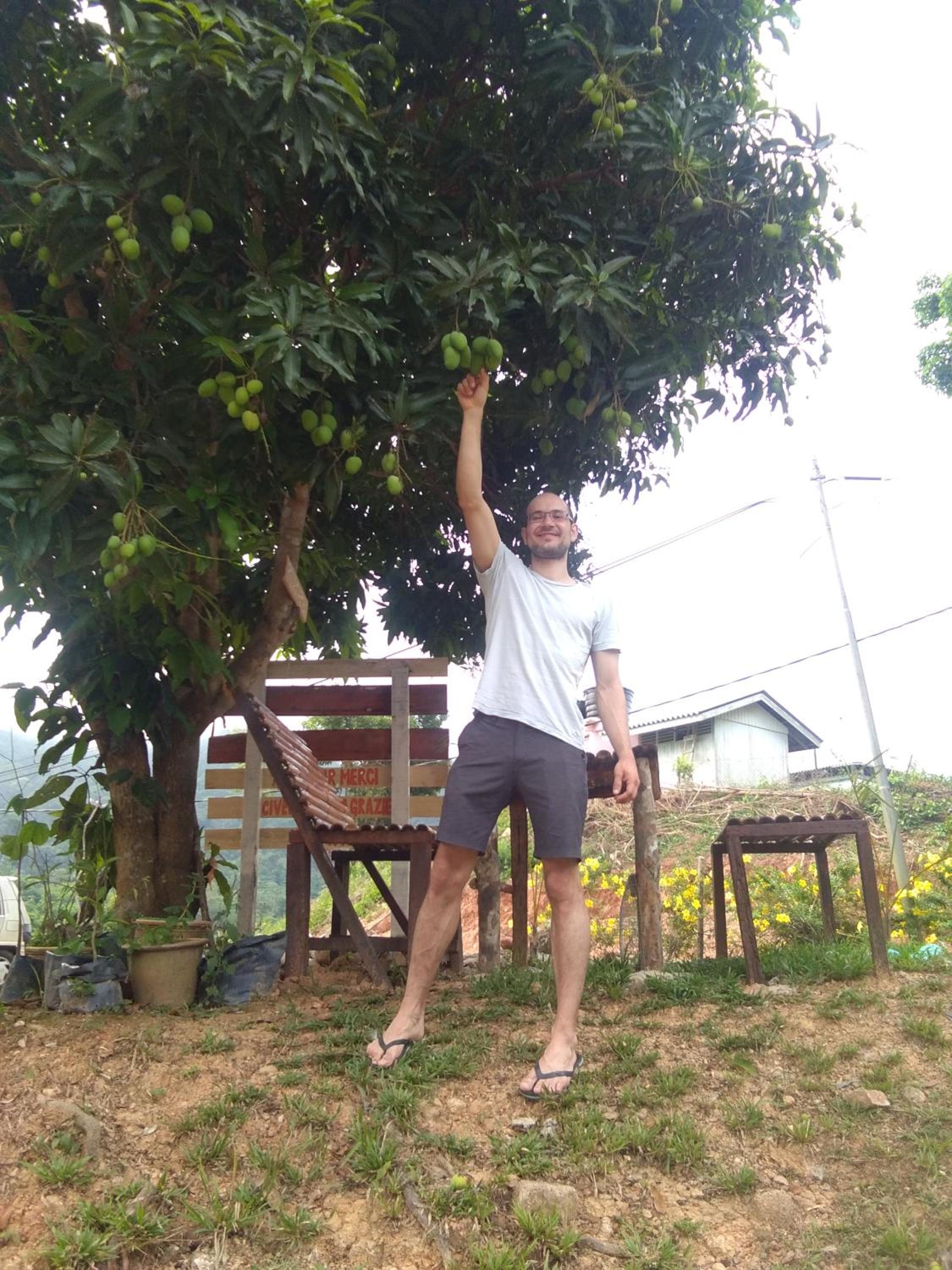 Photo 40