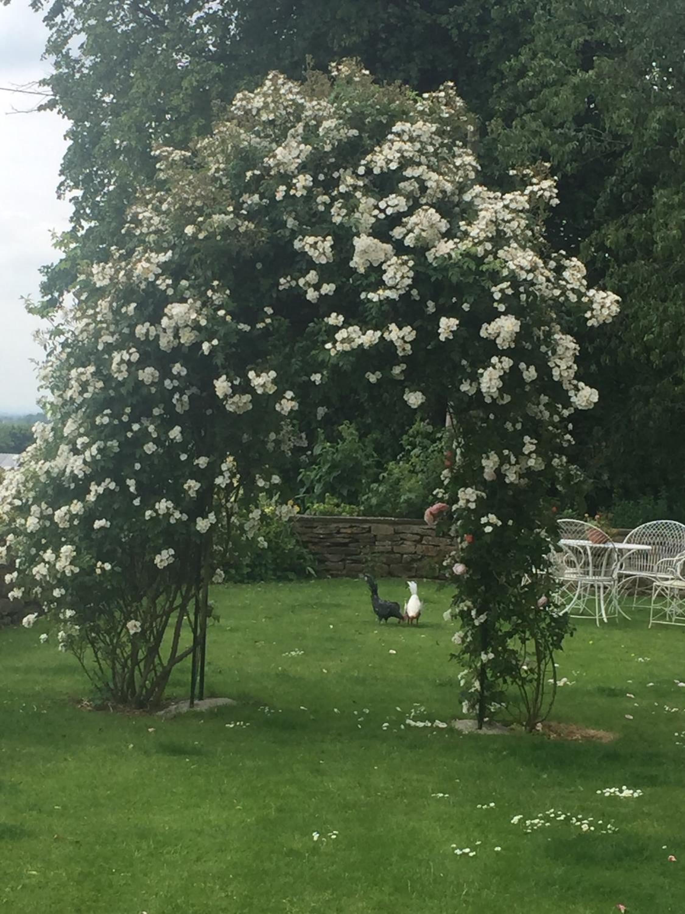 Hall Farm Bed & Breakfast